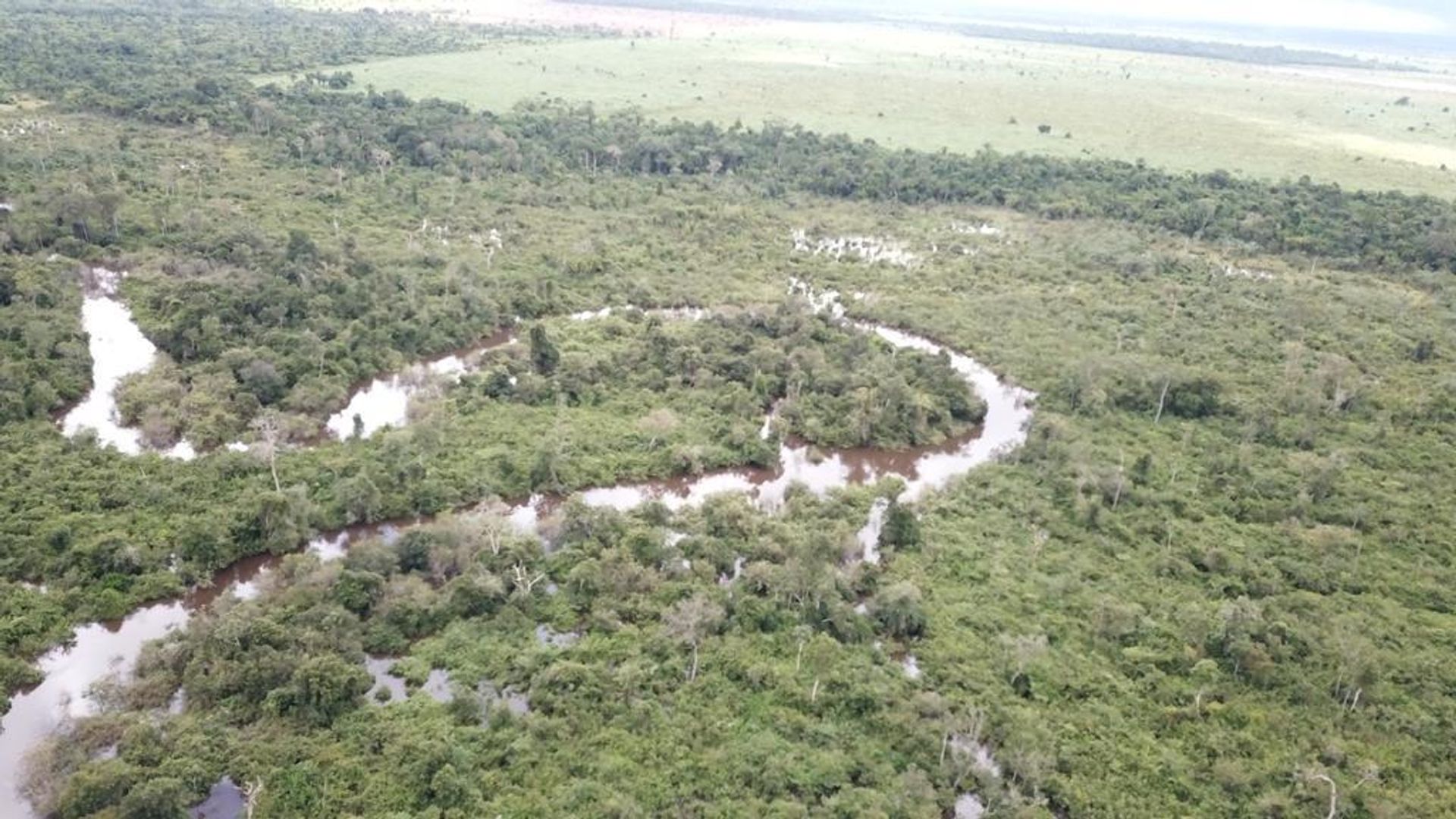 Autre dans , State of Mato Grosso 11959700