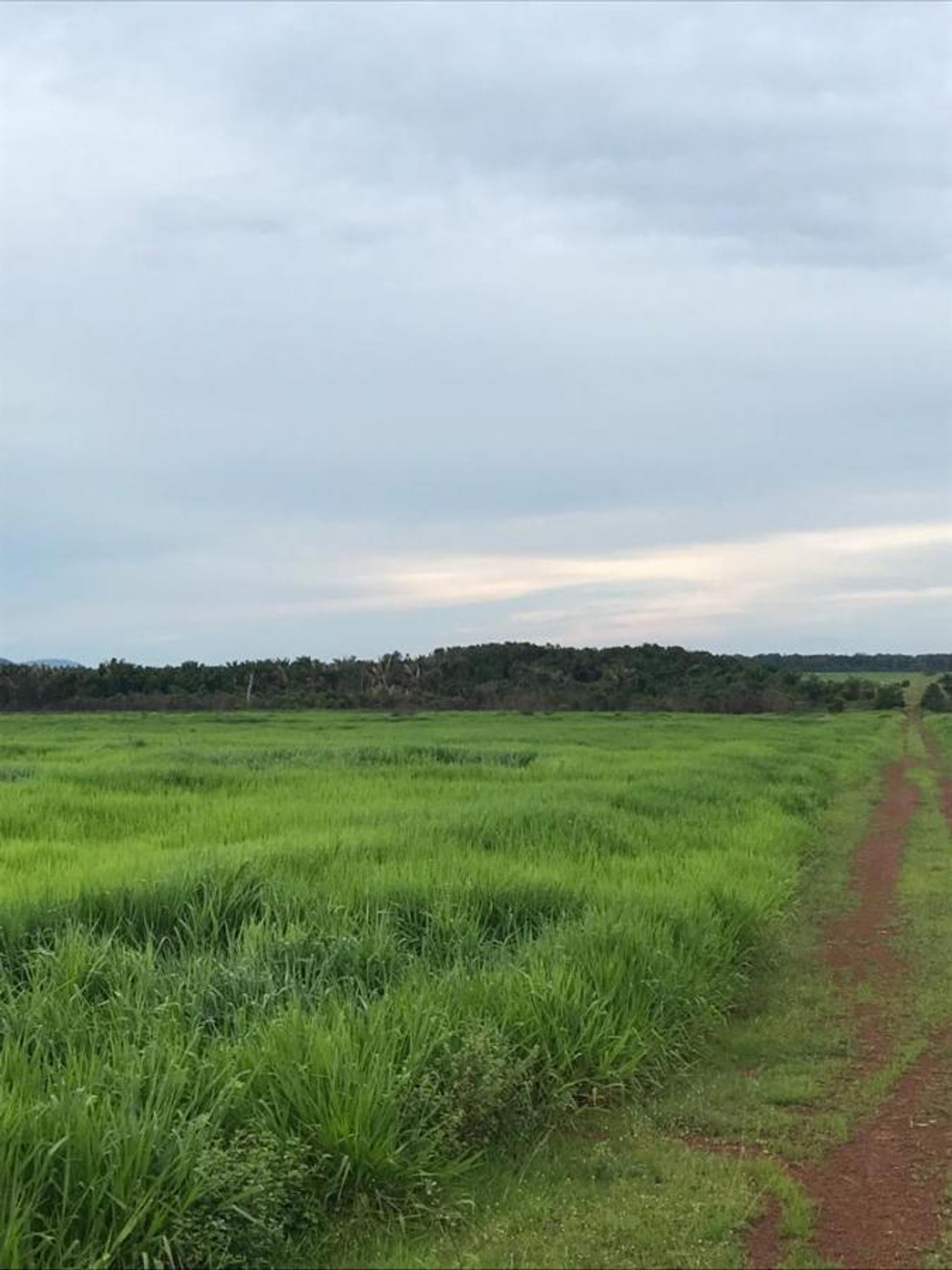 Інший в , State of Mato Grosso 11959700