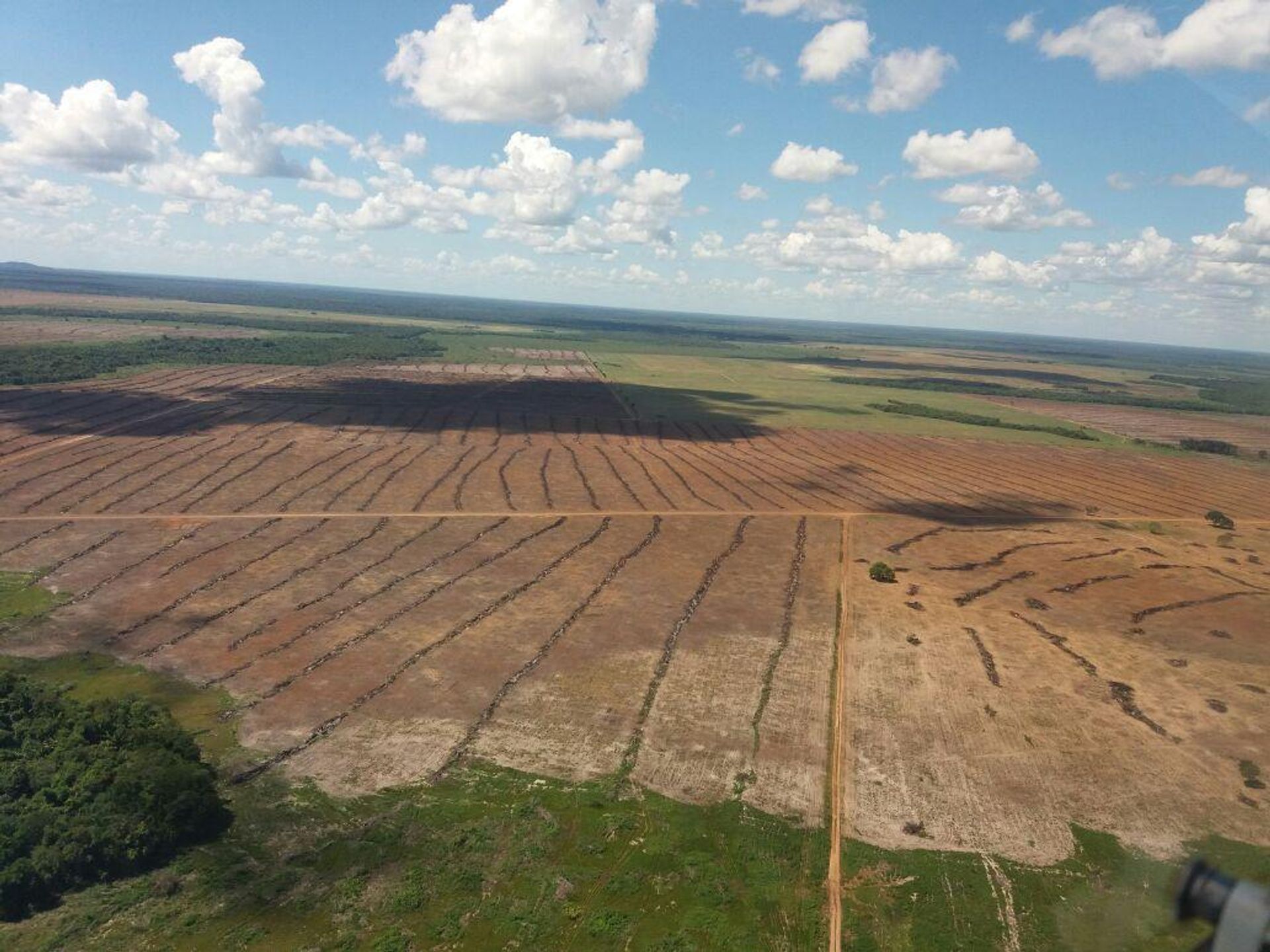 Autre dans , State of Mato Grosso 11959700