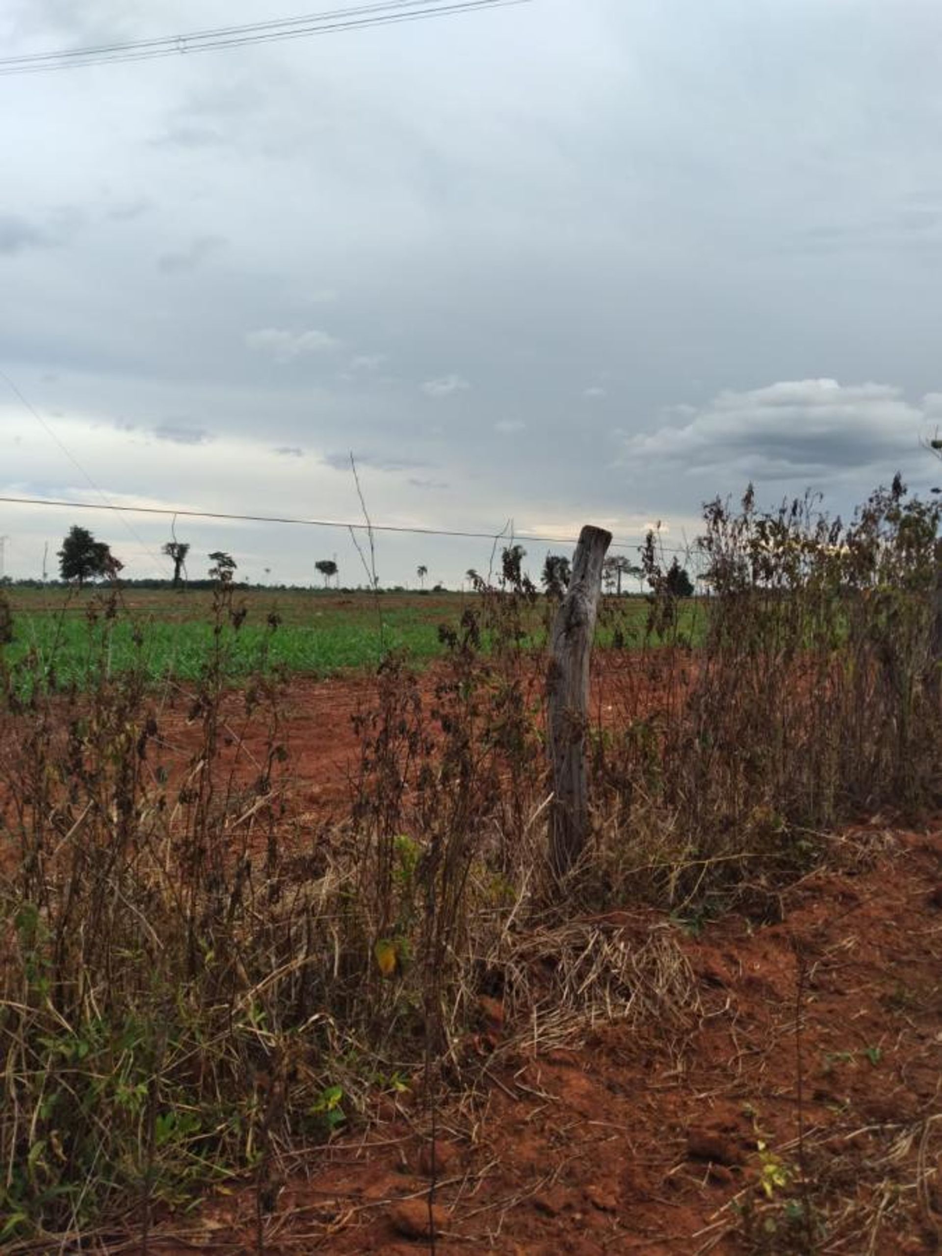 अन्य में Flores de Goias, Goiás 11959701