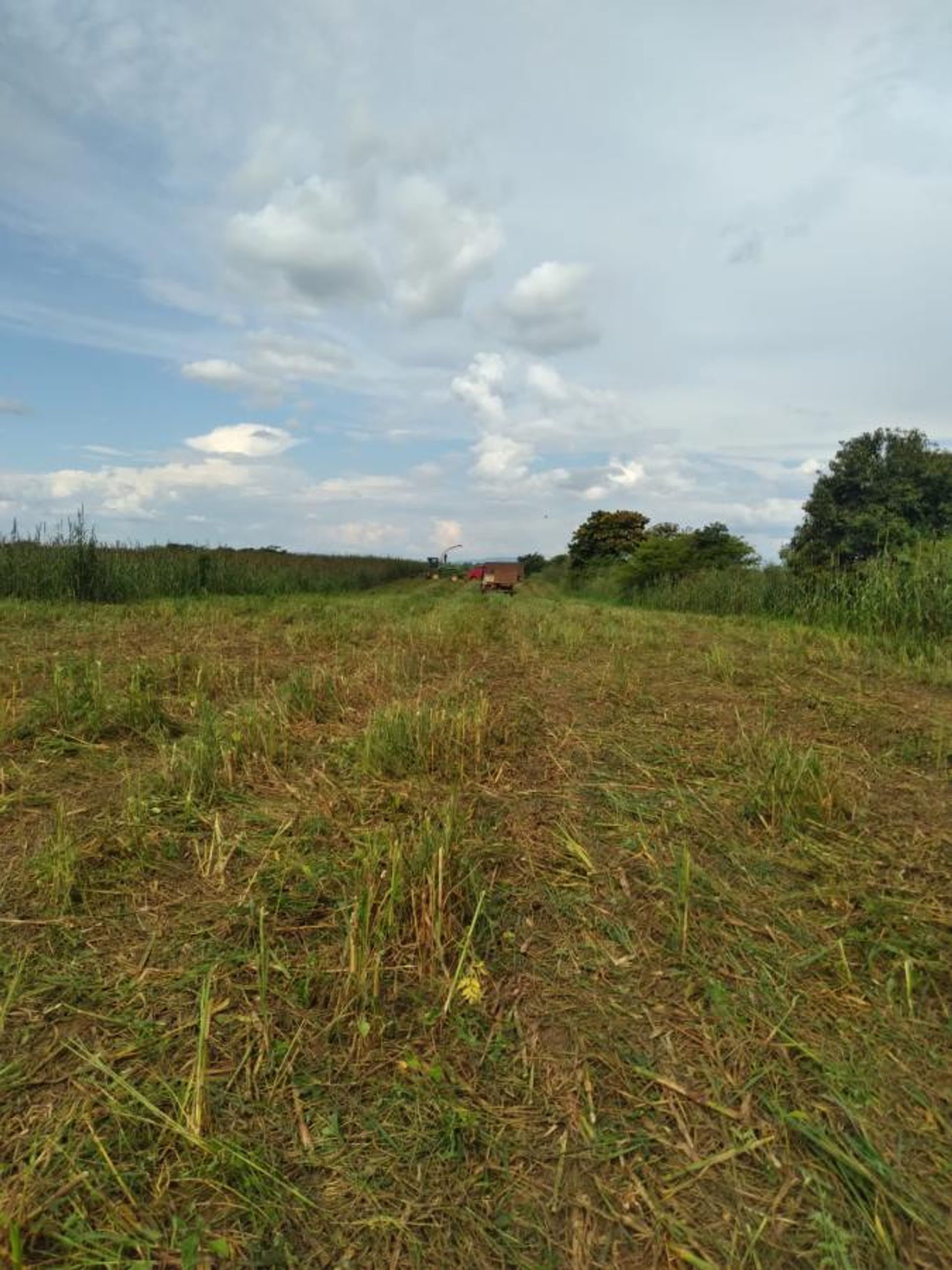 Otro en Flores de Goiás, Goiás 11959701