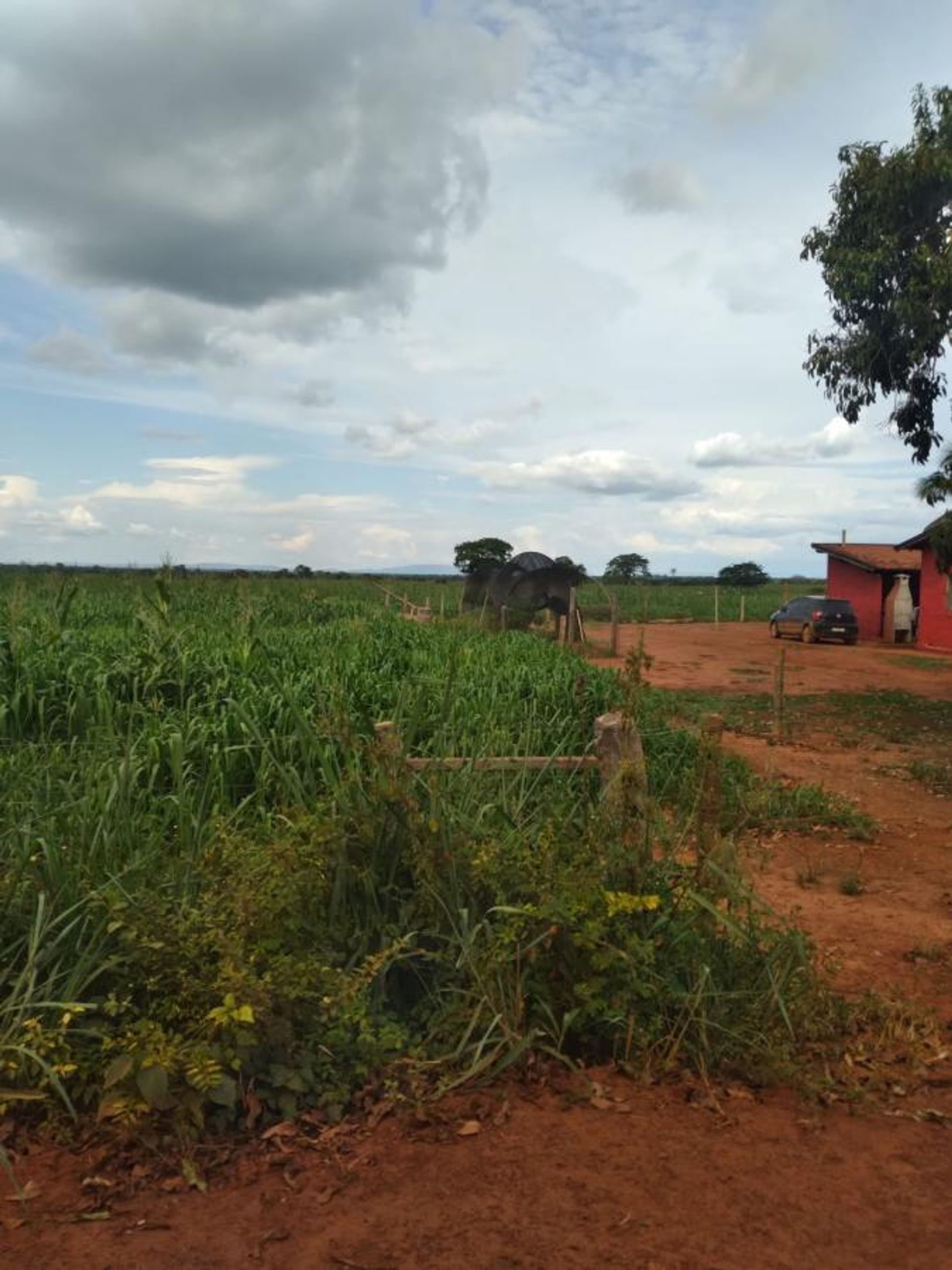 Andere im Flores de Goiás, Goiás 11959701