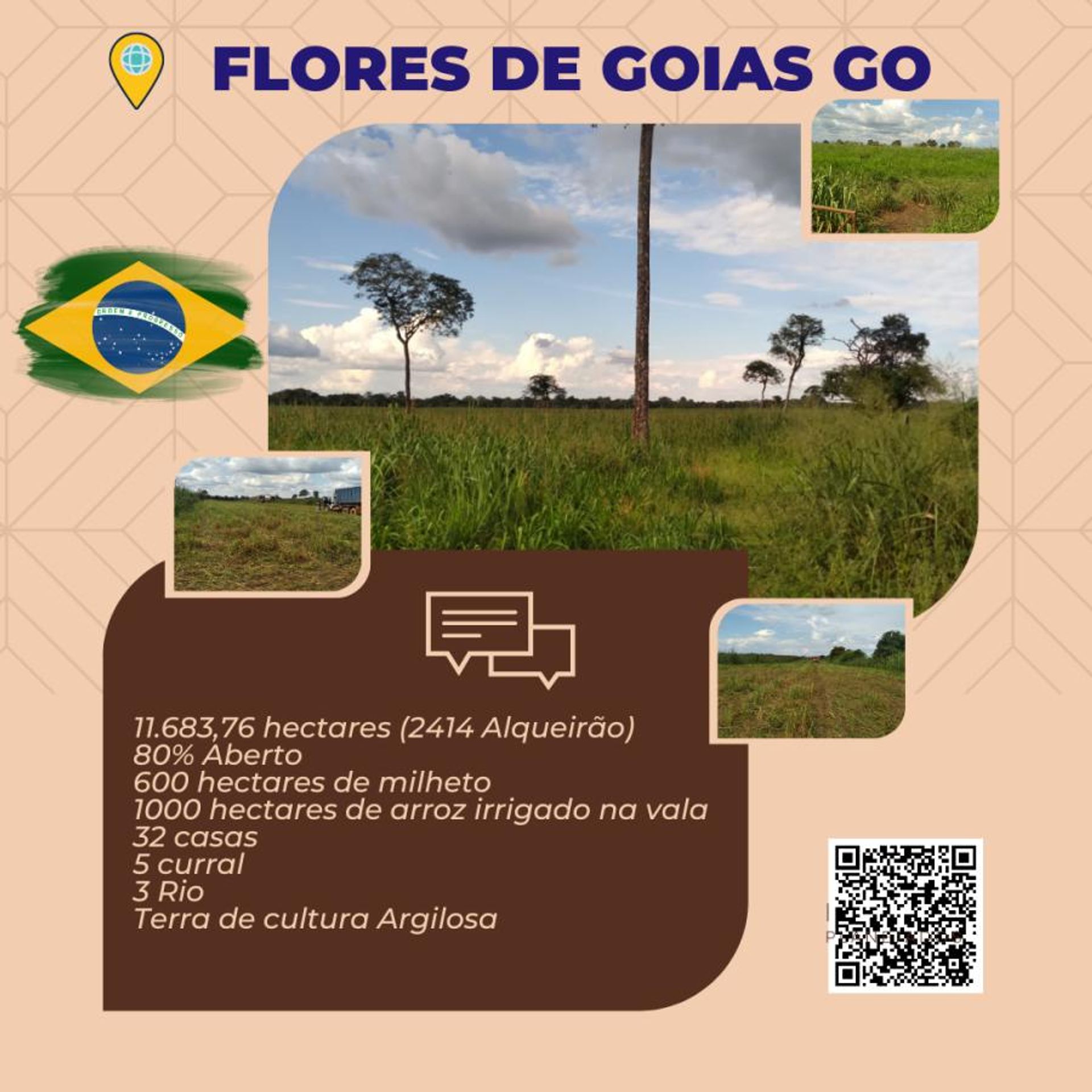 Muu sisään Flores de Goias, Goias 11959701