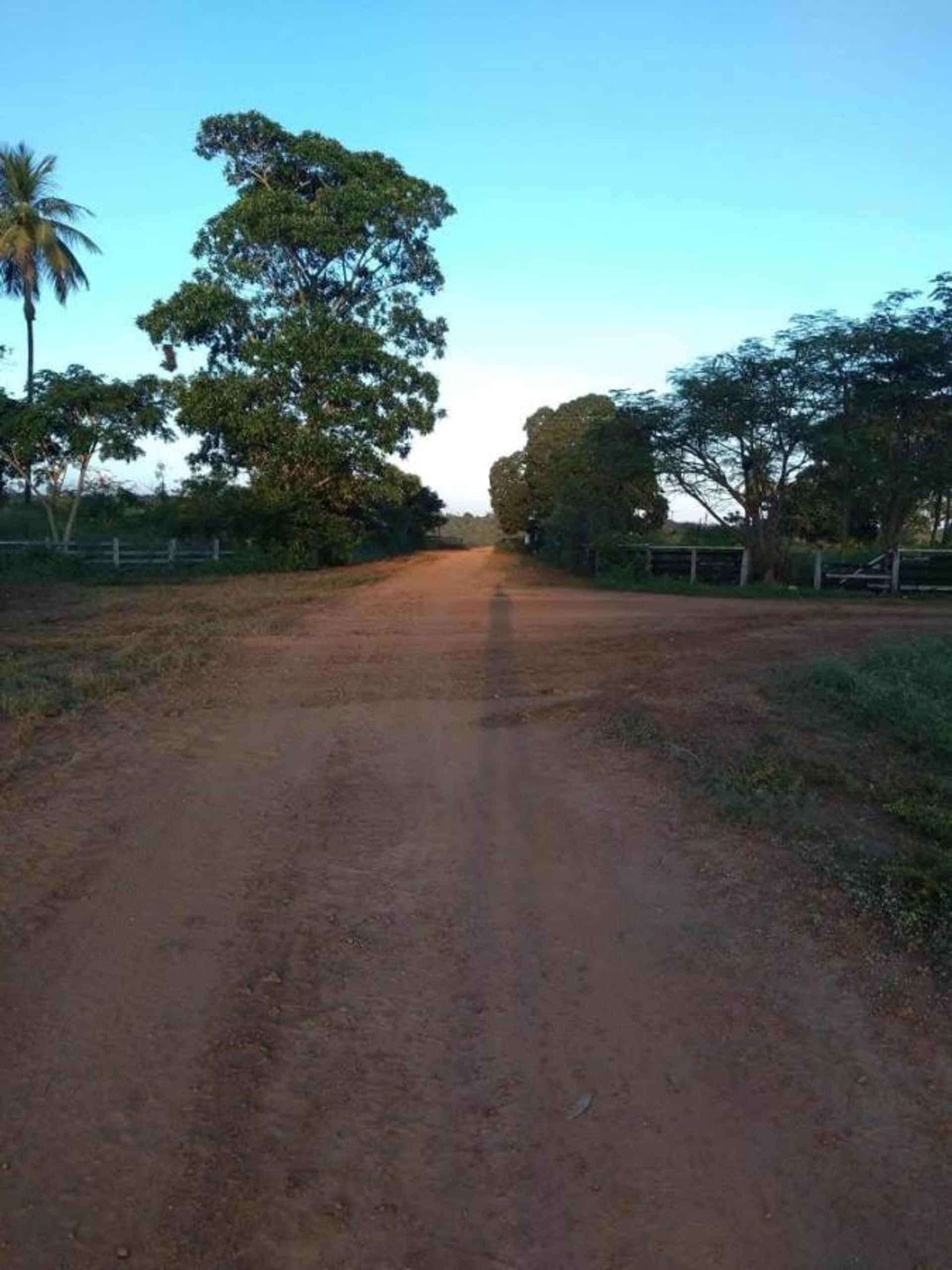 آخر في , State of Maranhão 11959702