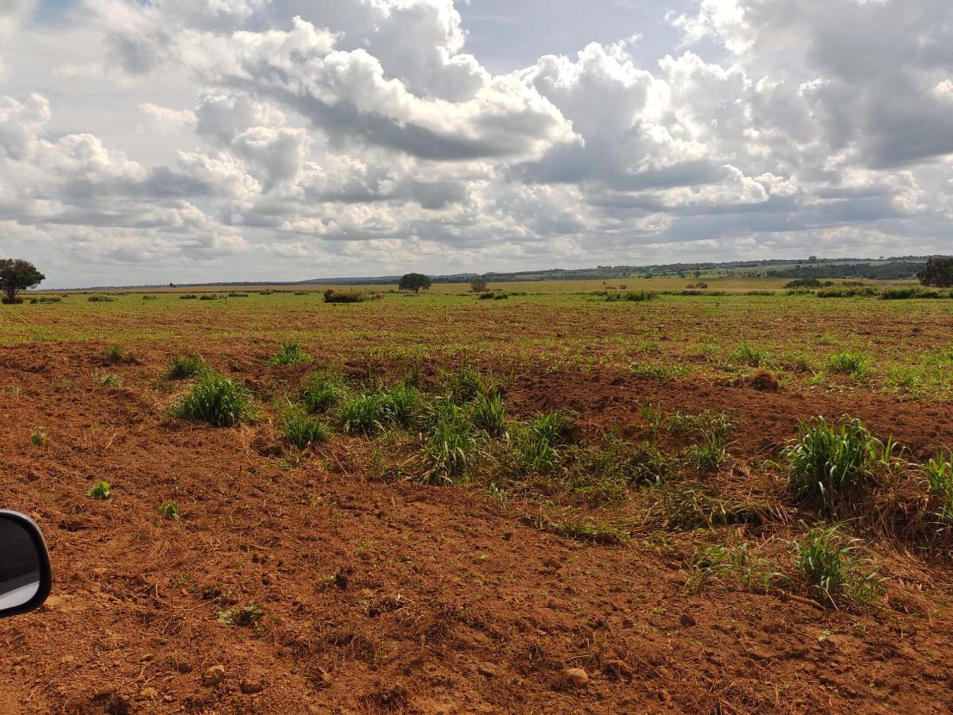 Altro nel , State of Maranhão 11959702