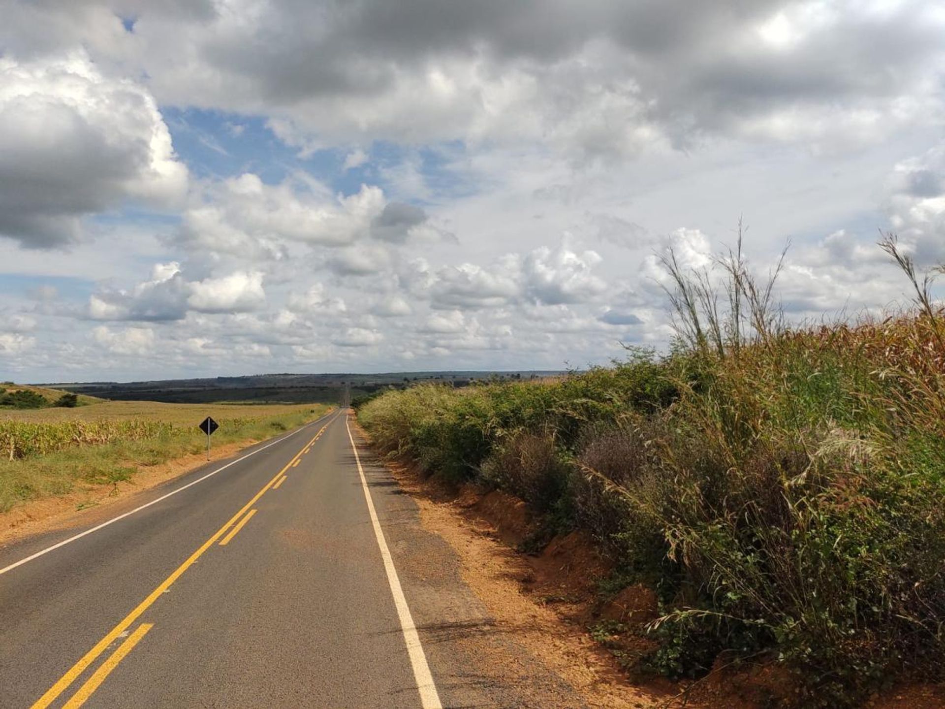 Altro nel , State of Maranhão 11959702