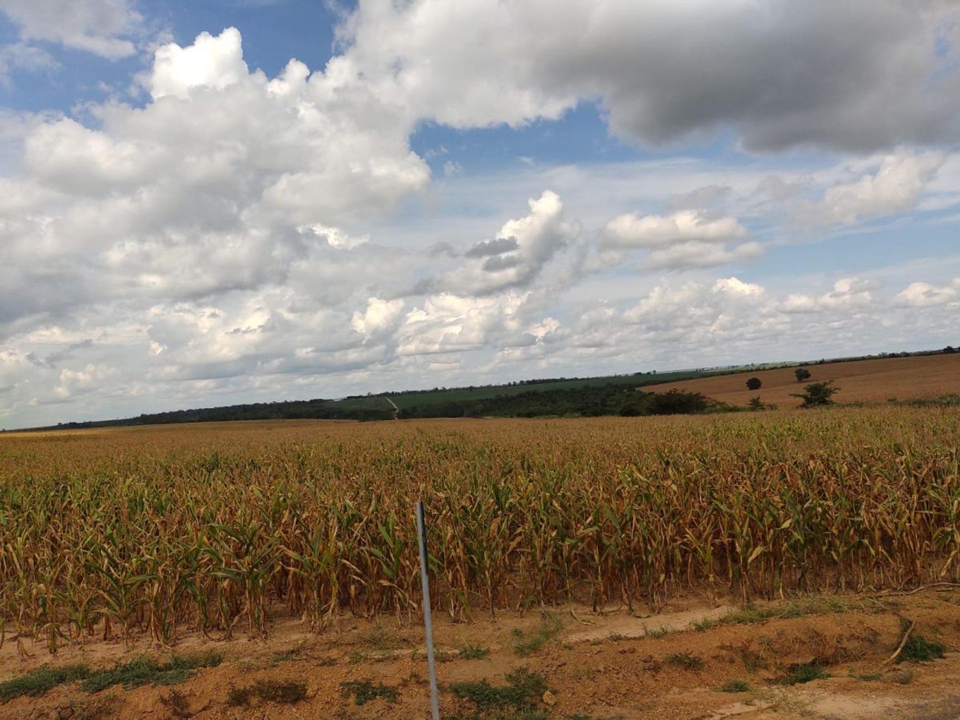 Andere in , State of Maranhão 11959702