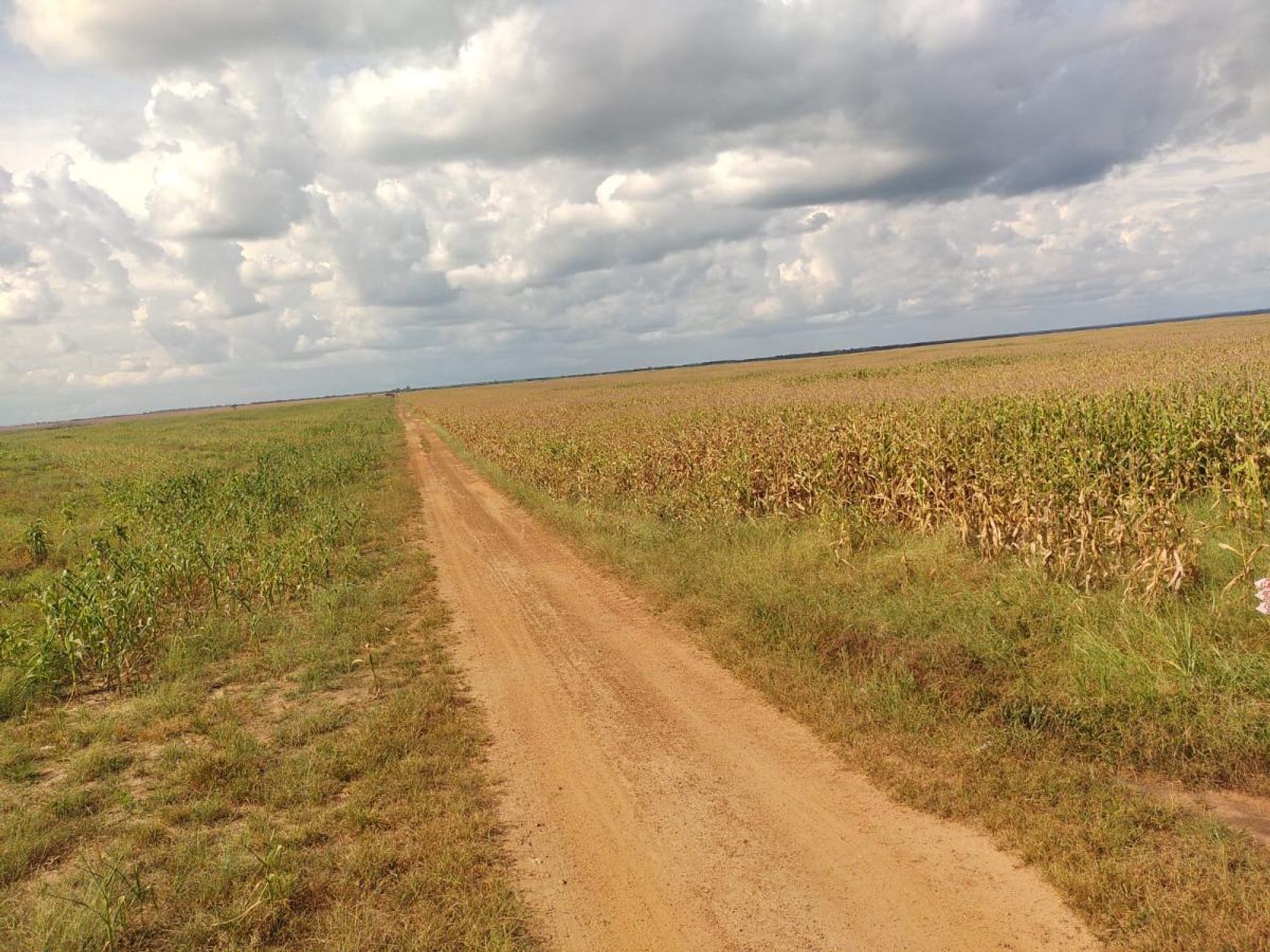 آخر في , State of Maranhão 11959702