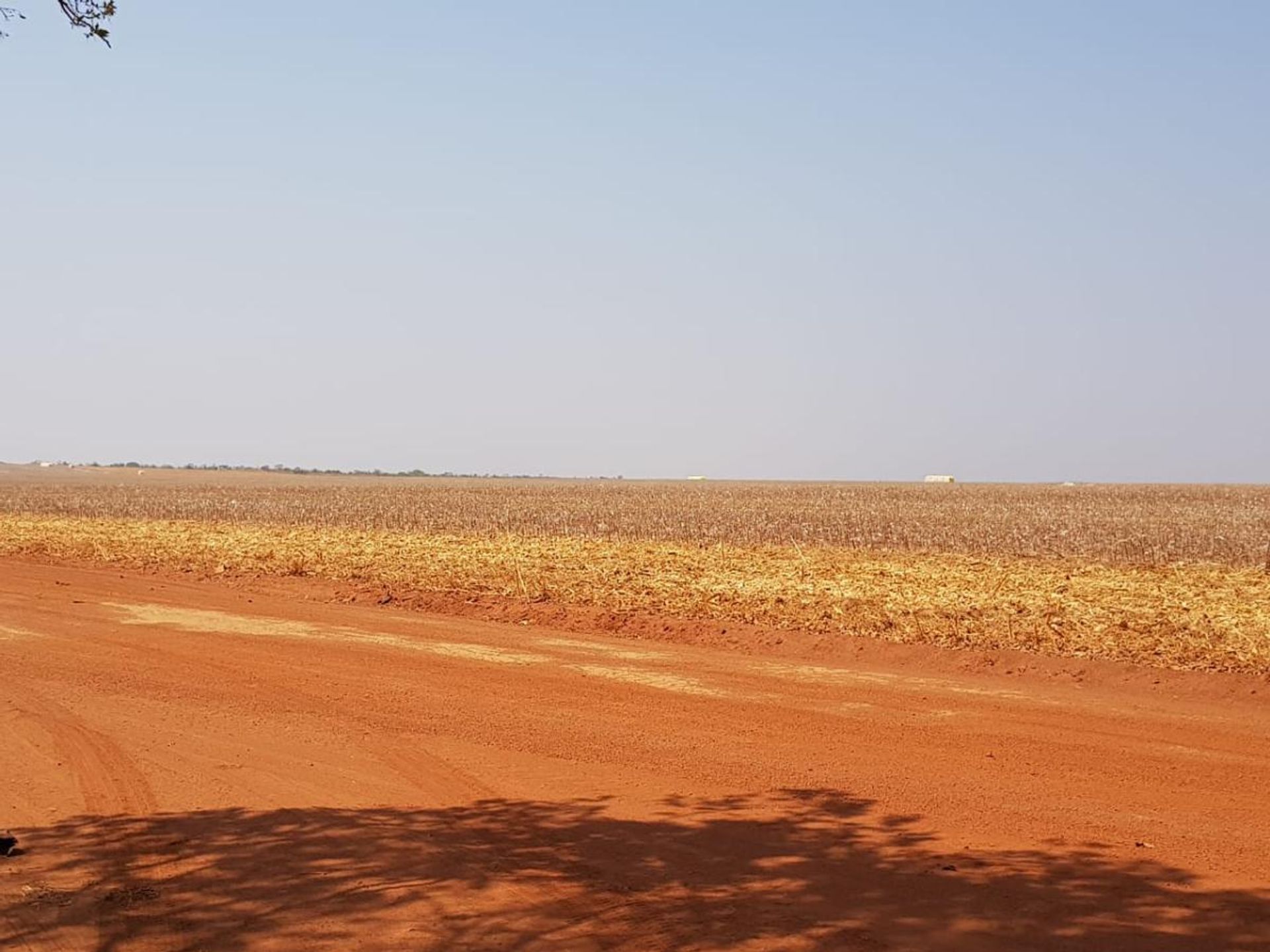 Andet i Canarana, Mato Grosso 11959703