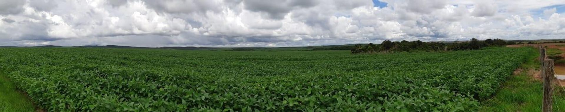 Autre dans Canarana, Mato Grosso 11959703