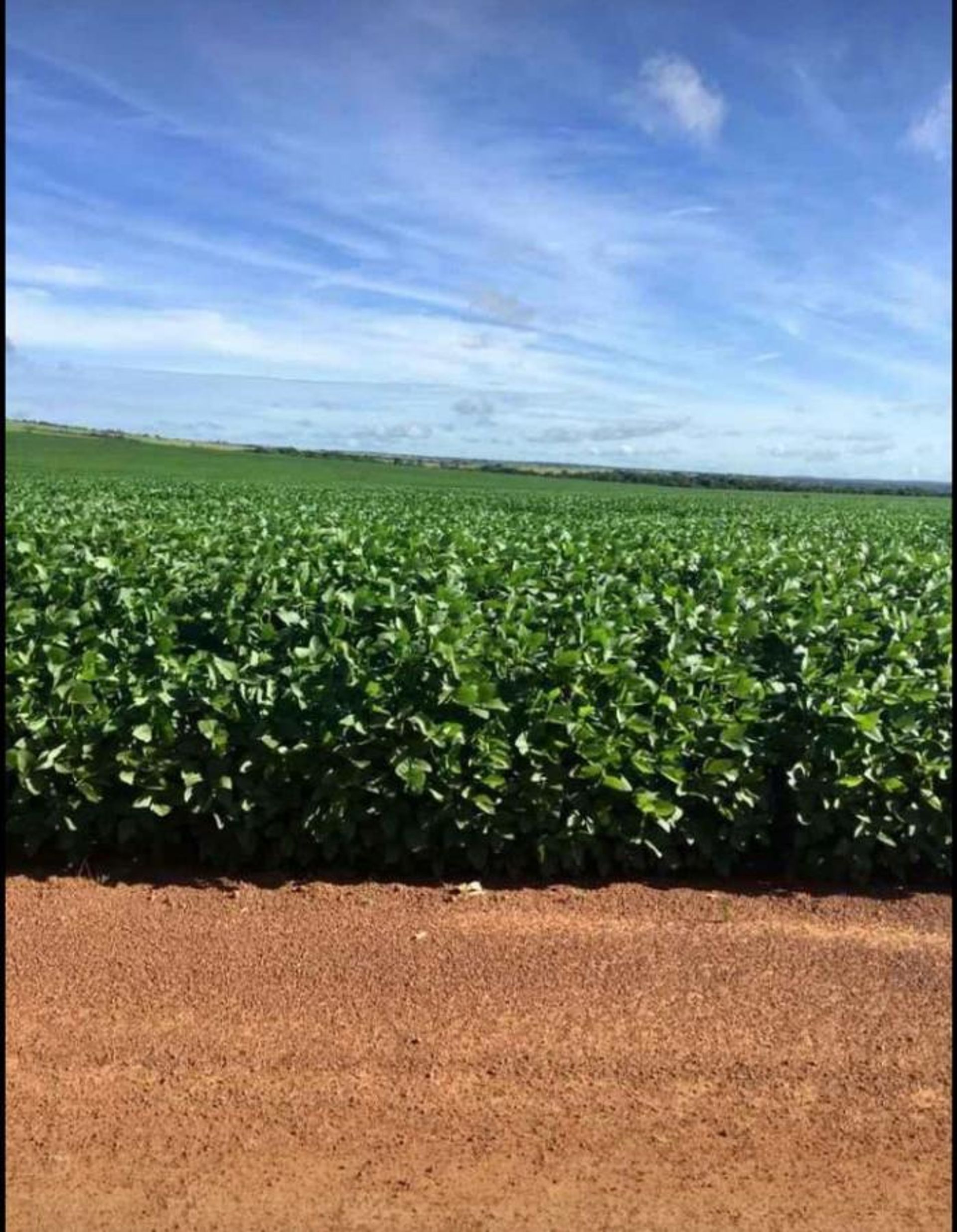 Autre dans Vila Rica, Mato Grosso 11959706