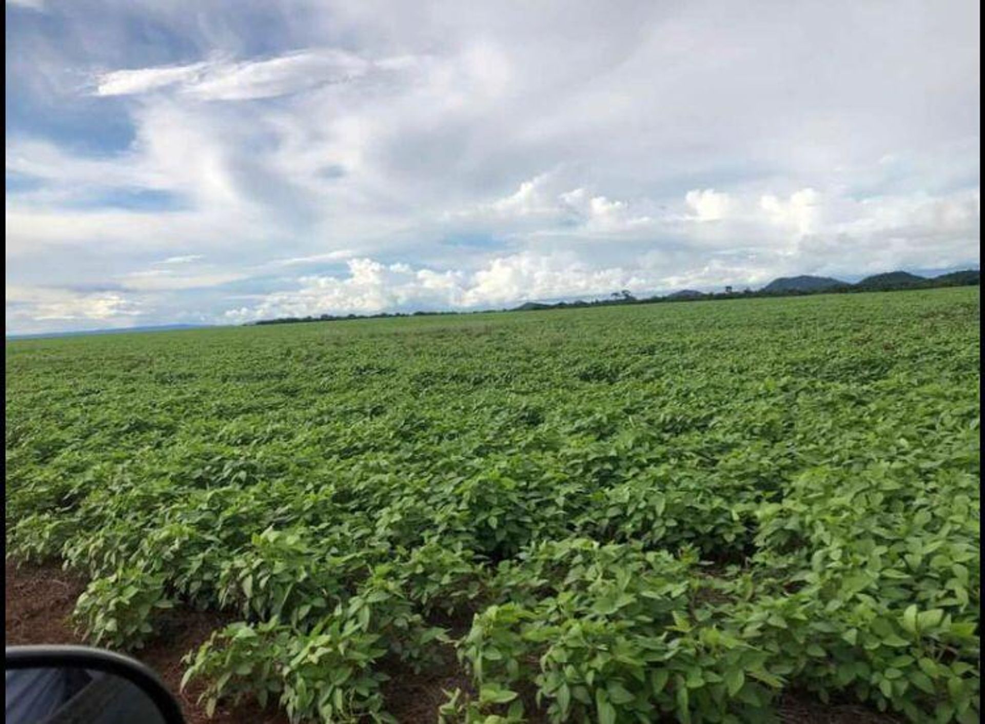 Autre dans Vila Rica, Mato Grosso 11959706