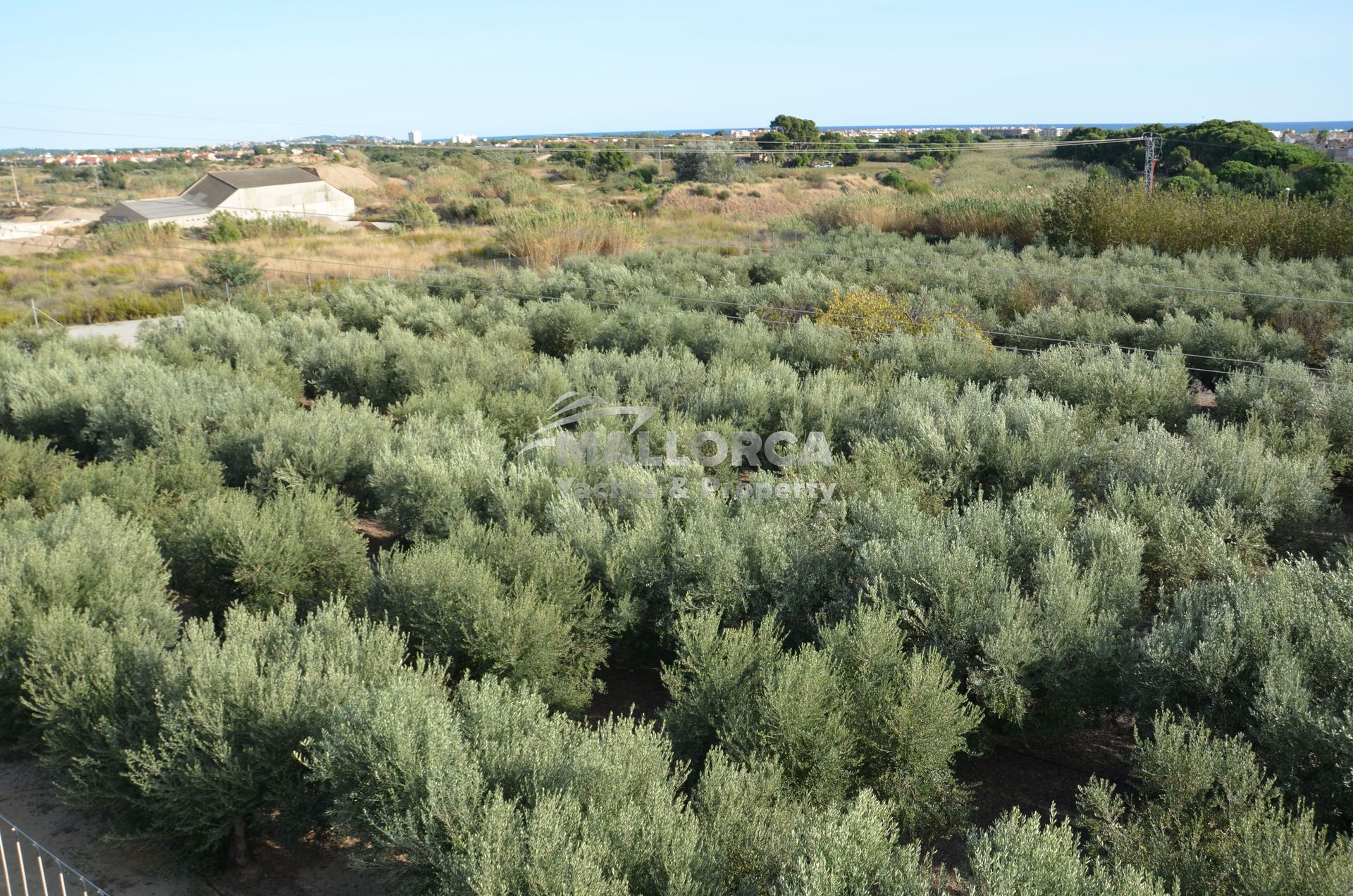 Jord i Tarragona, Catalonien 11959711