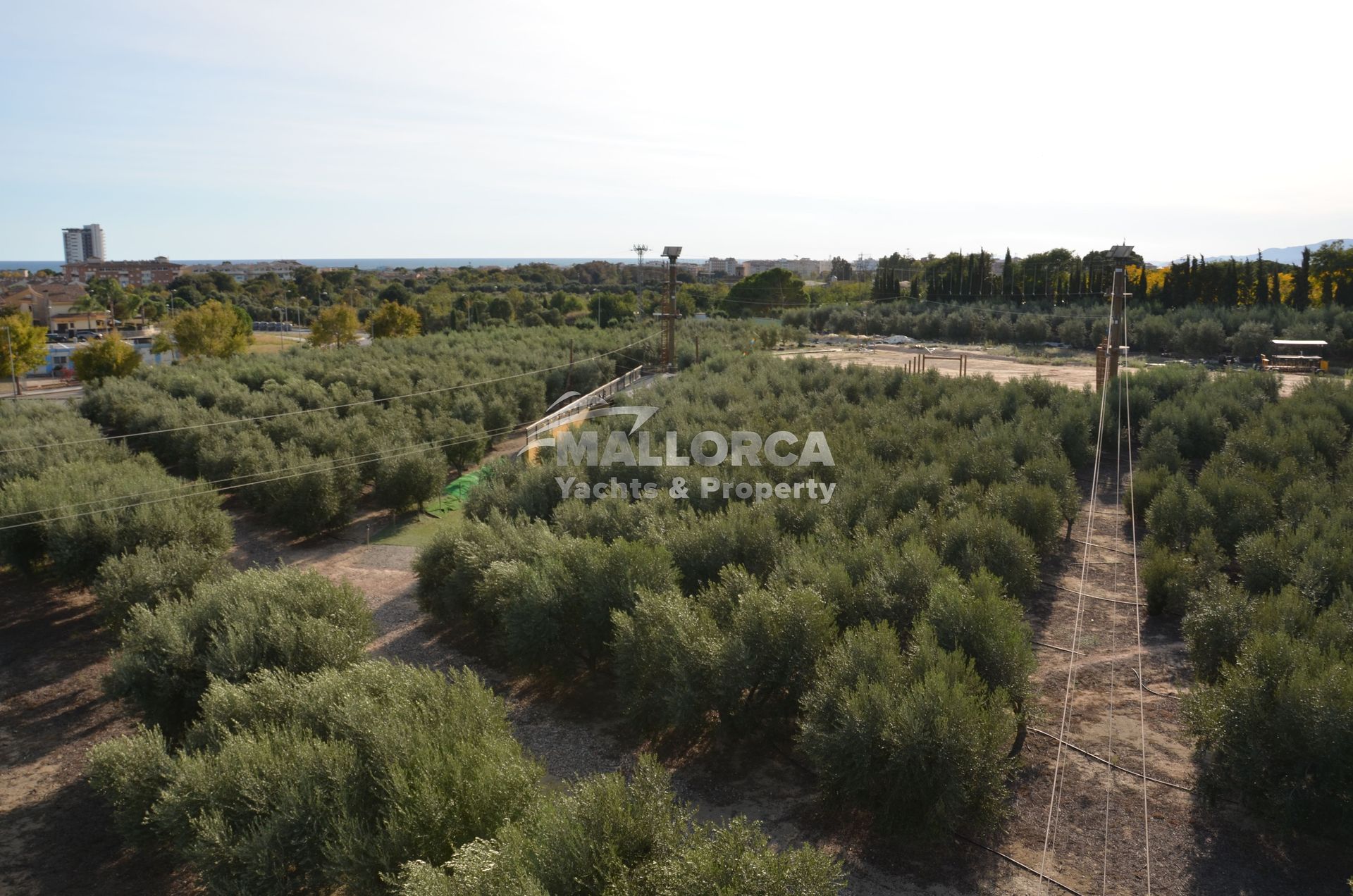 Maa sisään Tarragona, Catalonia 11959711