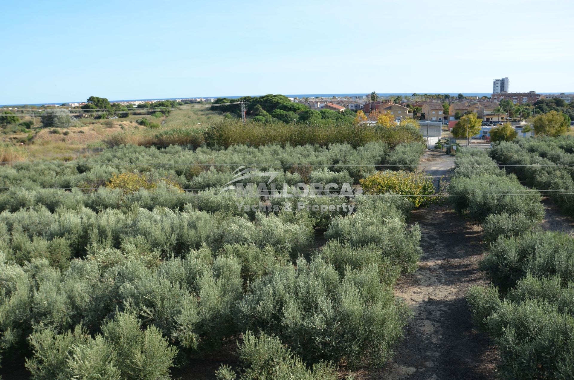 Maa sisään Tarragona, Catalonia 11959711