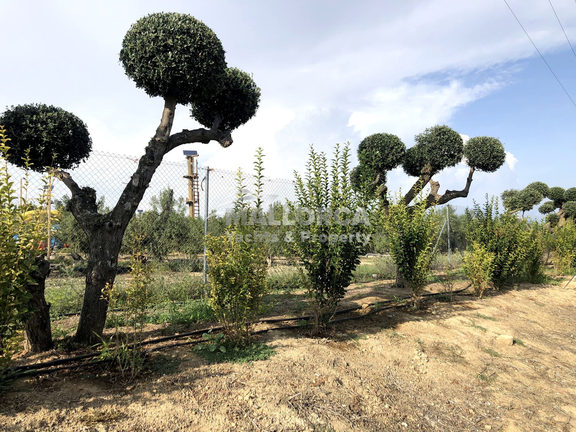 Land in Tarragona, Catalonia 11959711