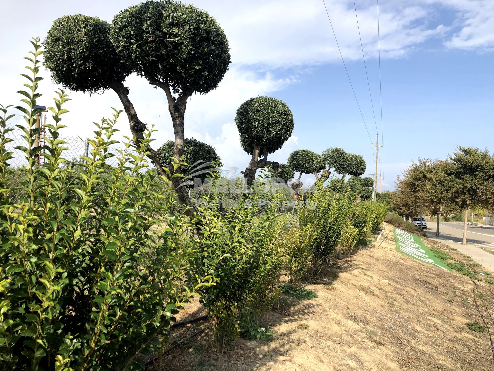 Land in Tarragona, Catalonia 11959711