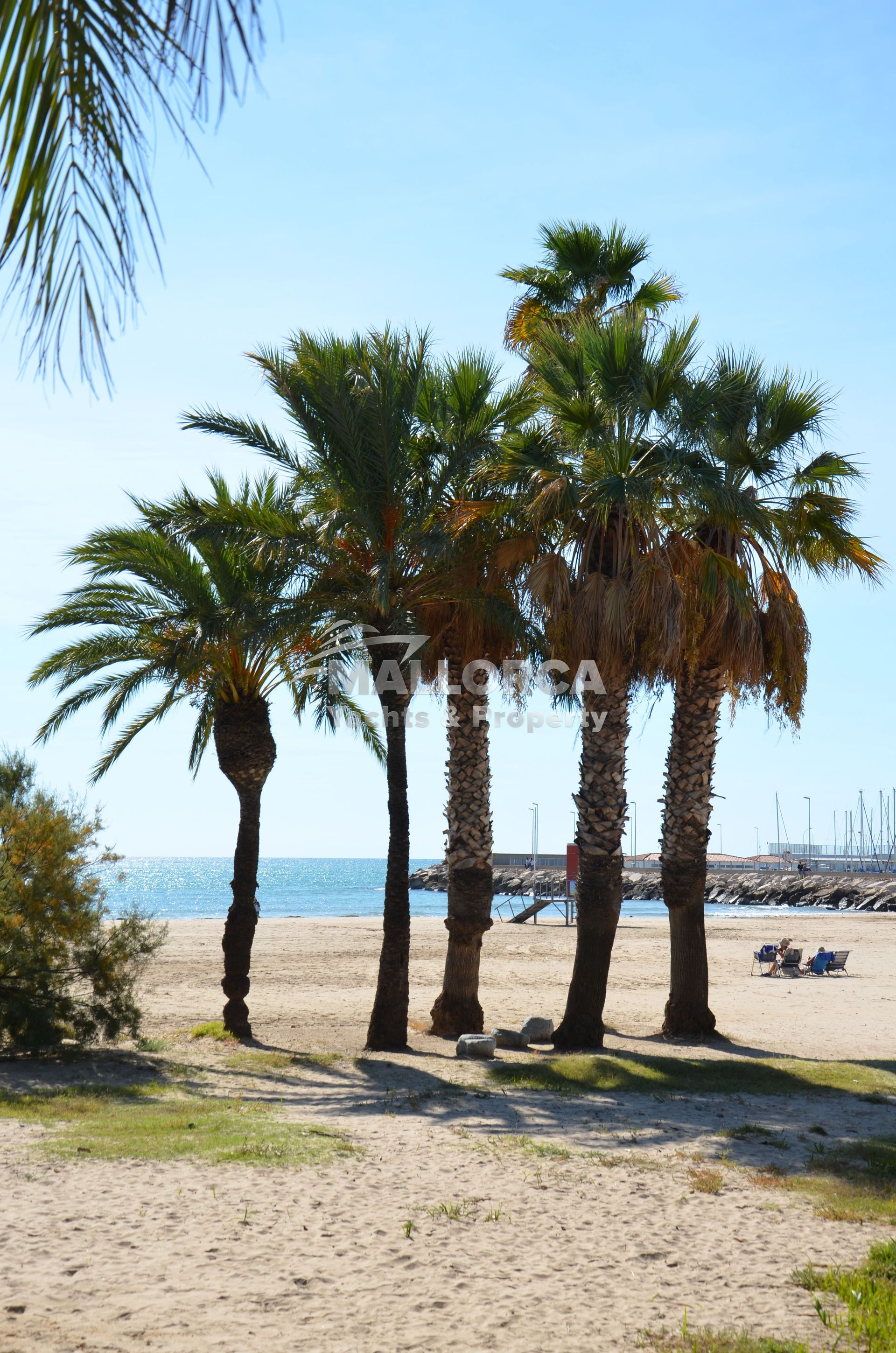 Land in Tarragona, Catalonia 11959711