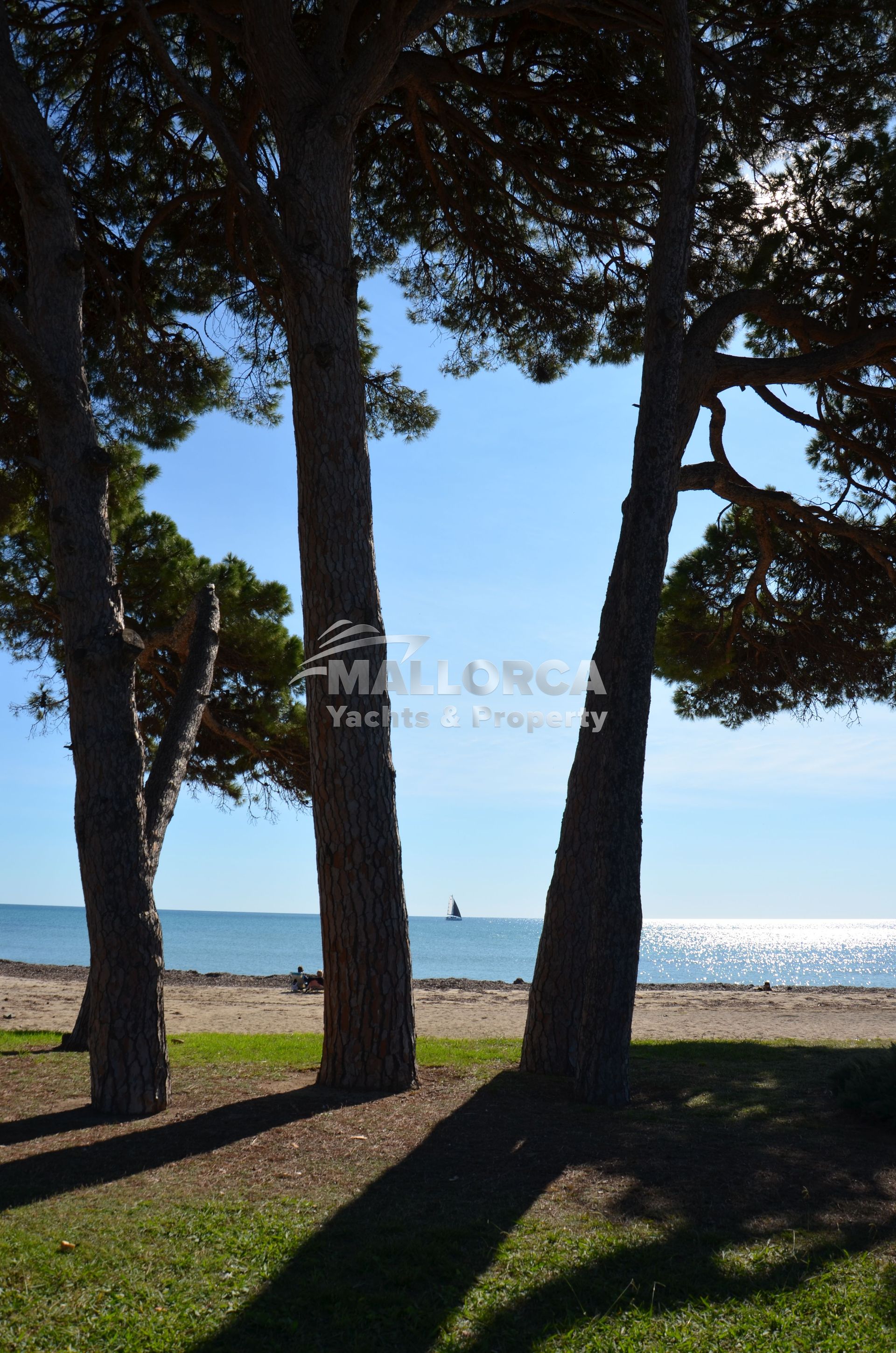 Land in Tarragona, Catalonia 11959711