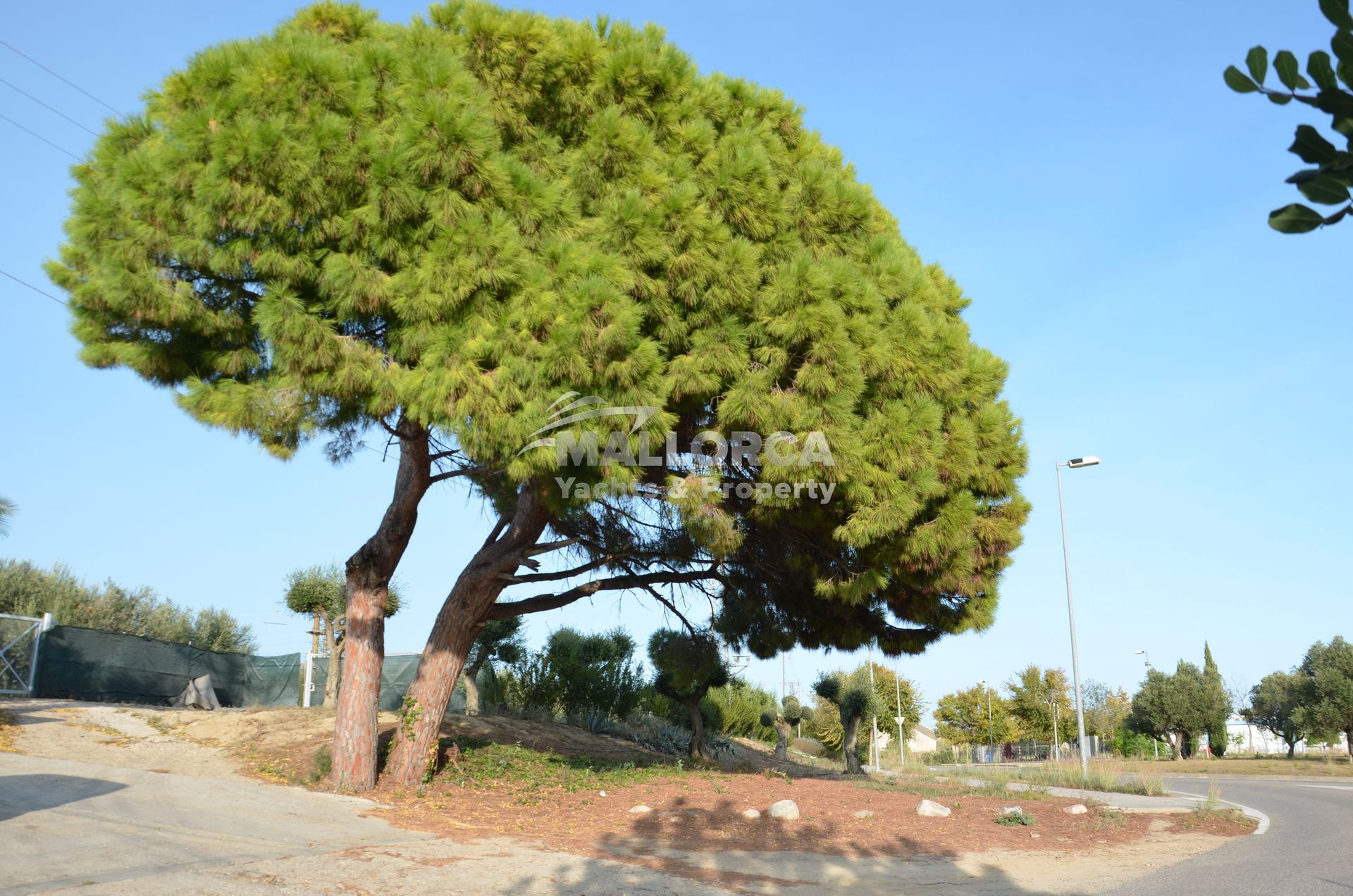 Land in Tarragona, Catalonia 11959711