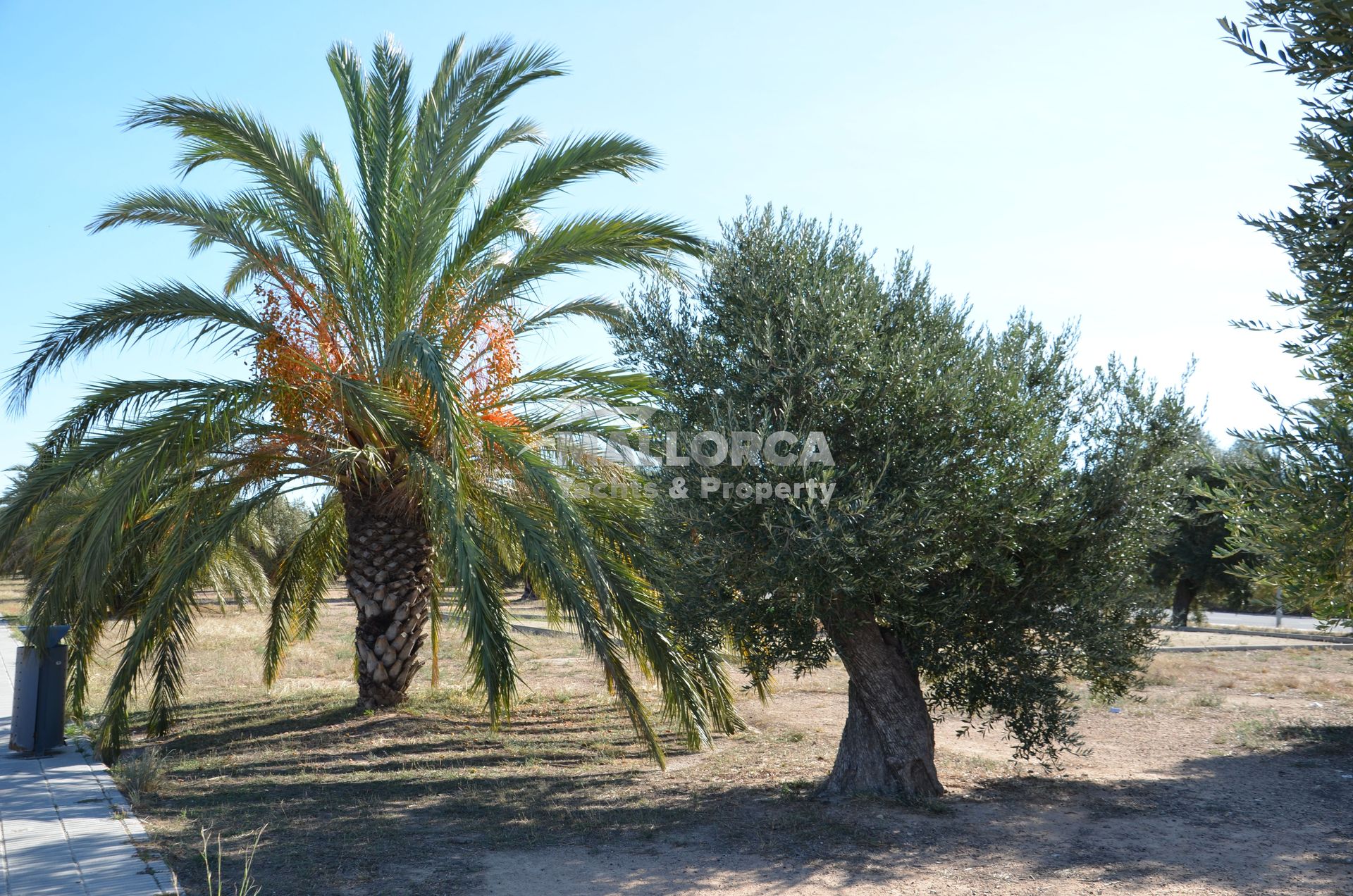 Land in Tarragona, Catalonia 11959711