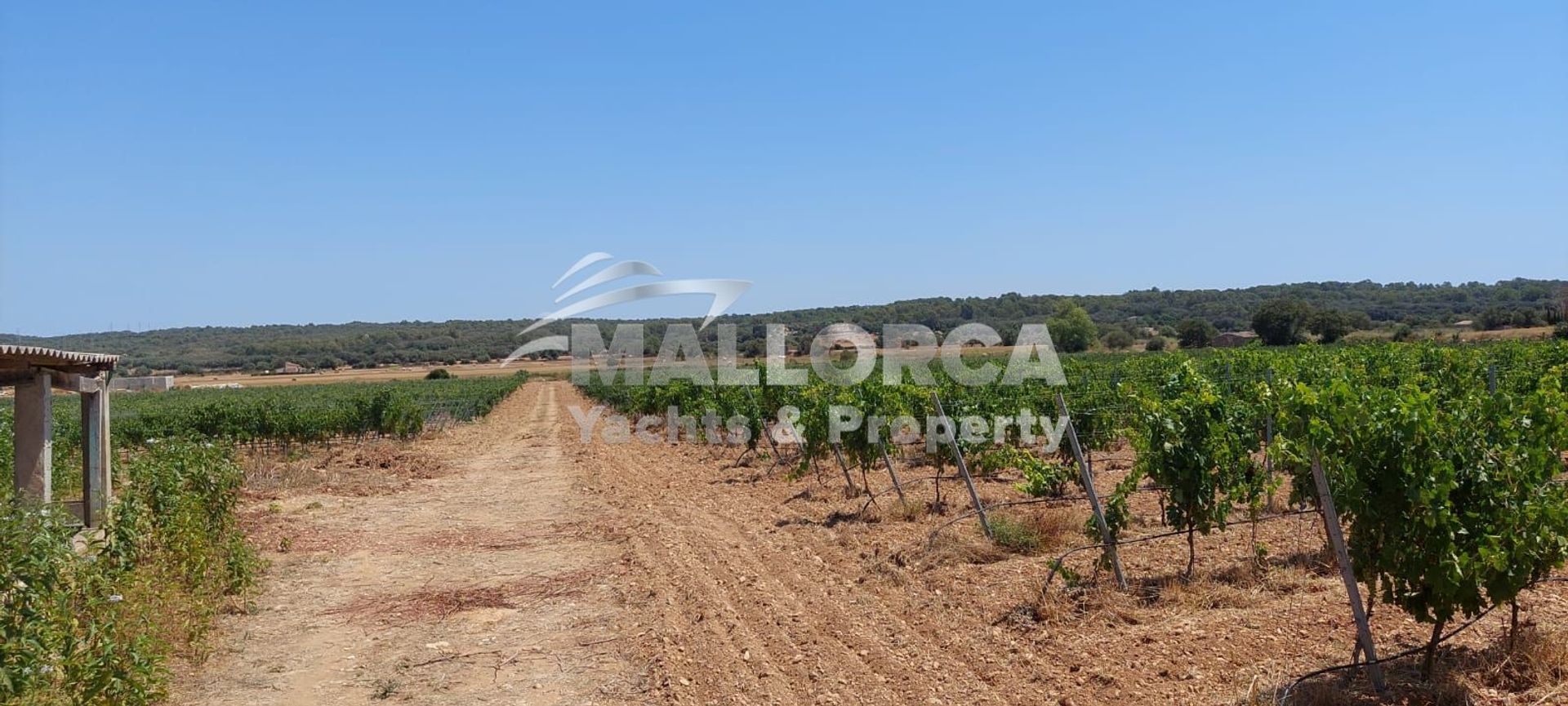 Земля в , Balearic Islands 11959721