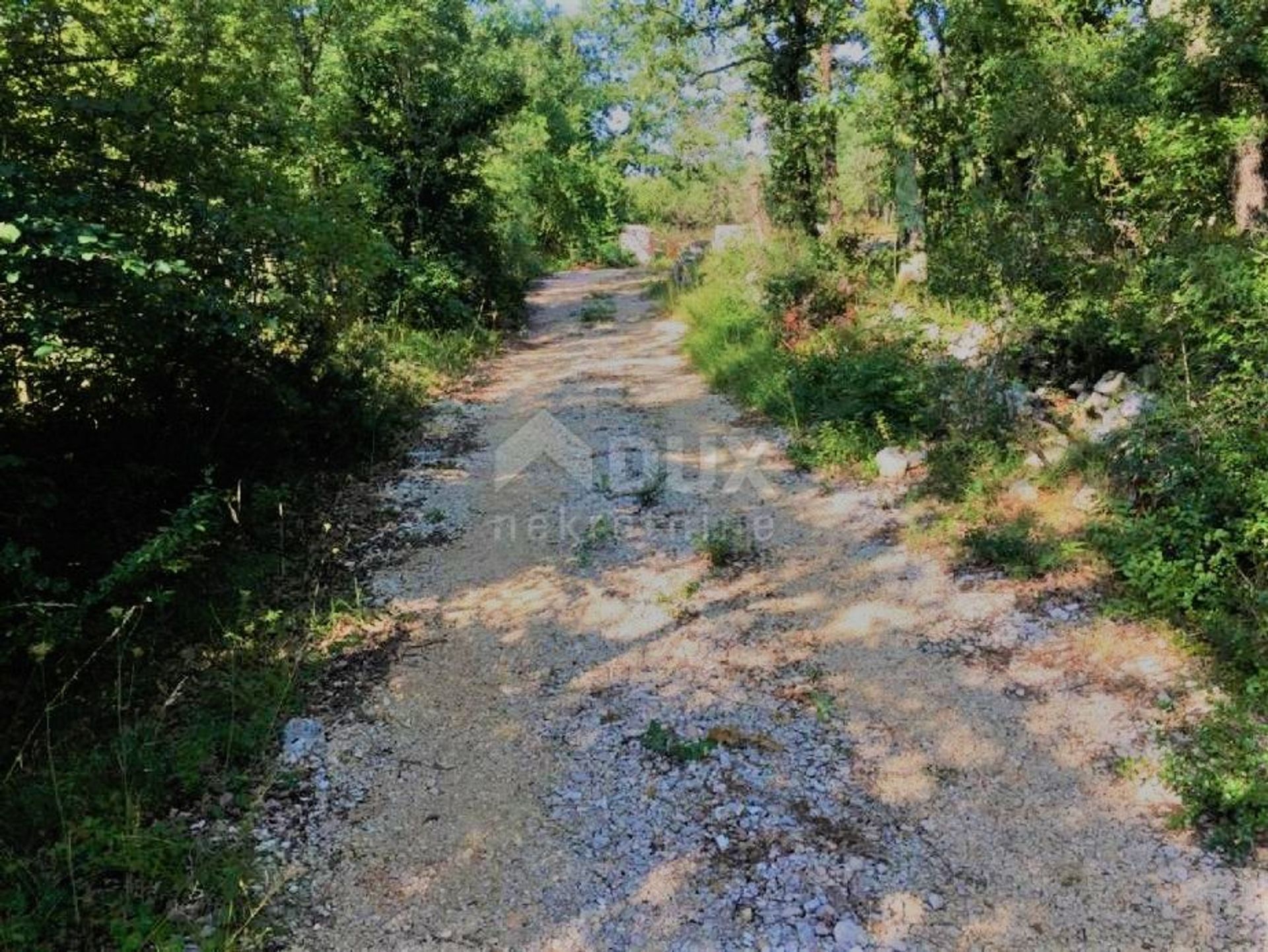 Land in Sveti Lovrec Pazenaticki, Istarska Zupanija 11959891