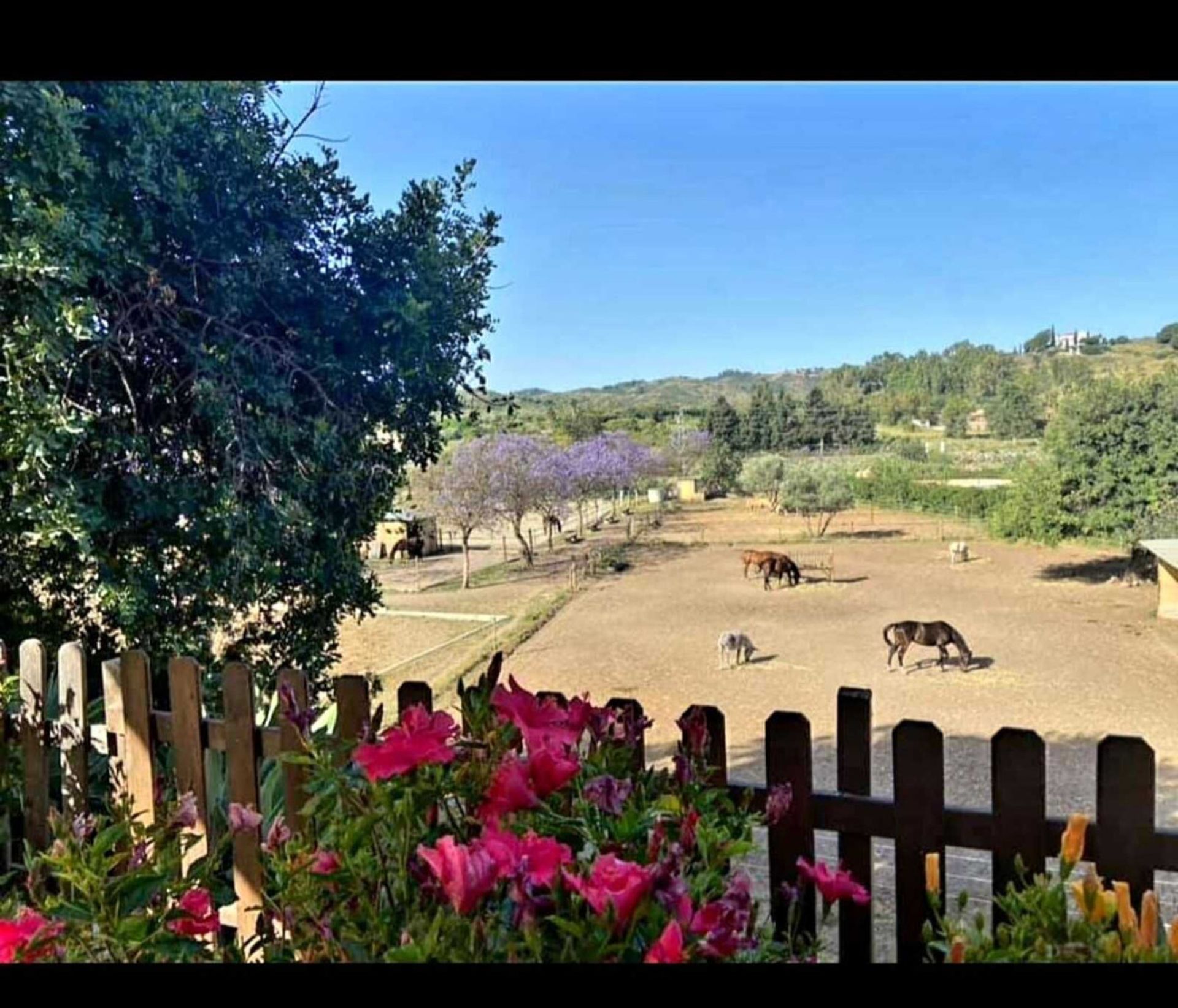 casa en Moneda, Andalucía 11960888