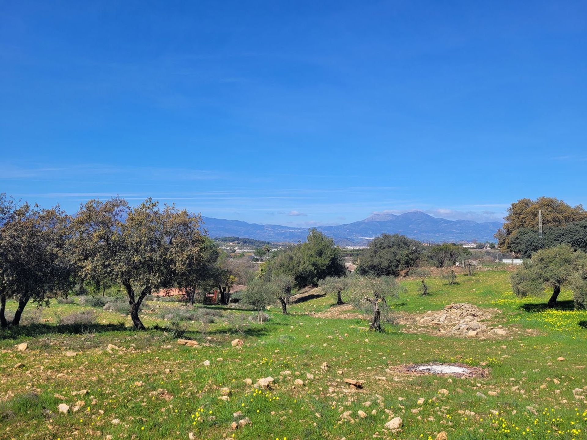 σπίτι σε Κέρμα, Ανδαλουσία 11961089