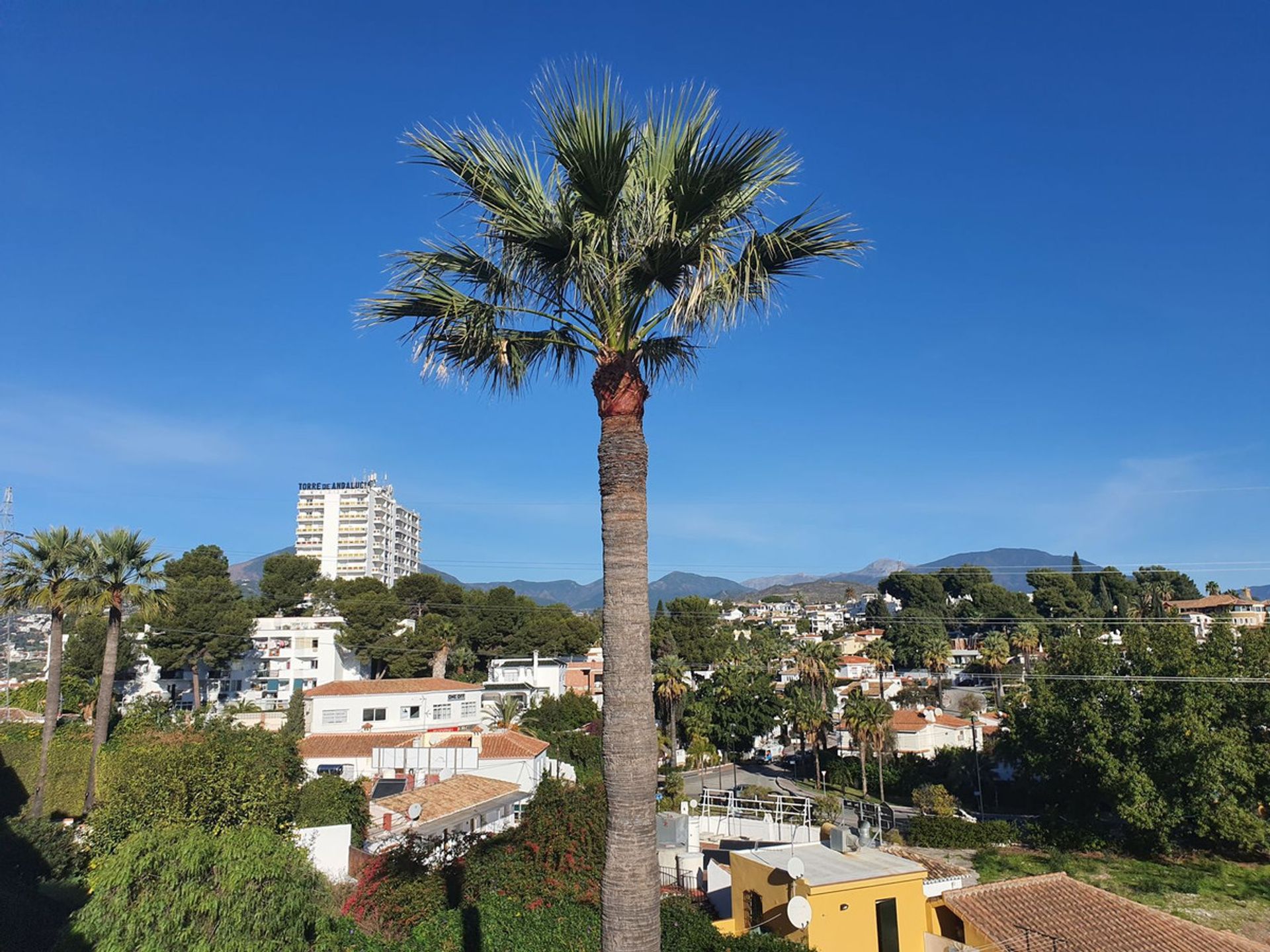 Rumah di Marbella, Andalucía 11961110