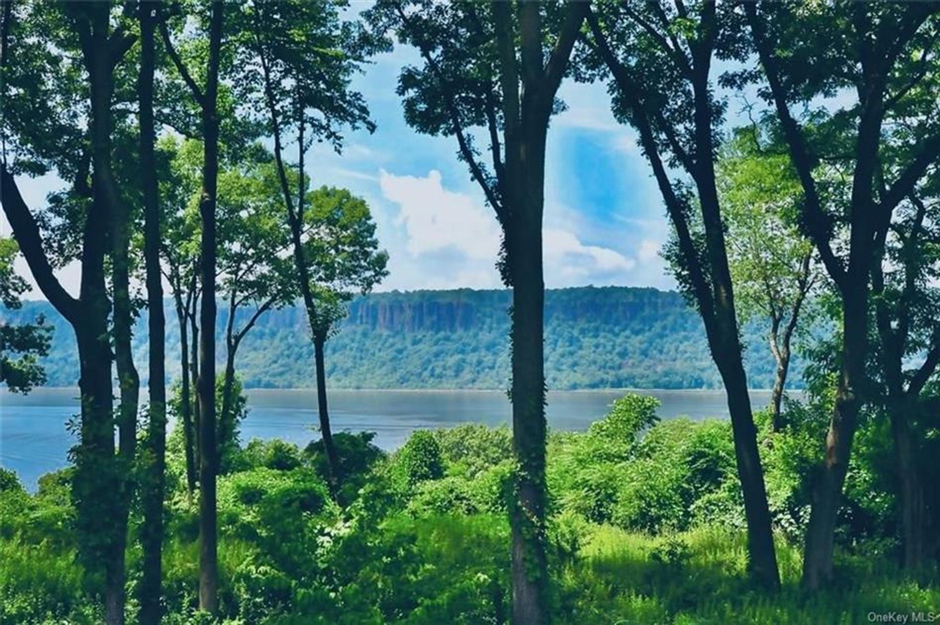 casa en Hastings-on-Hudson, New York 11964443