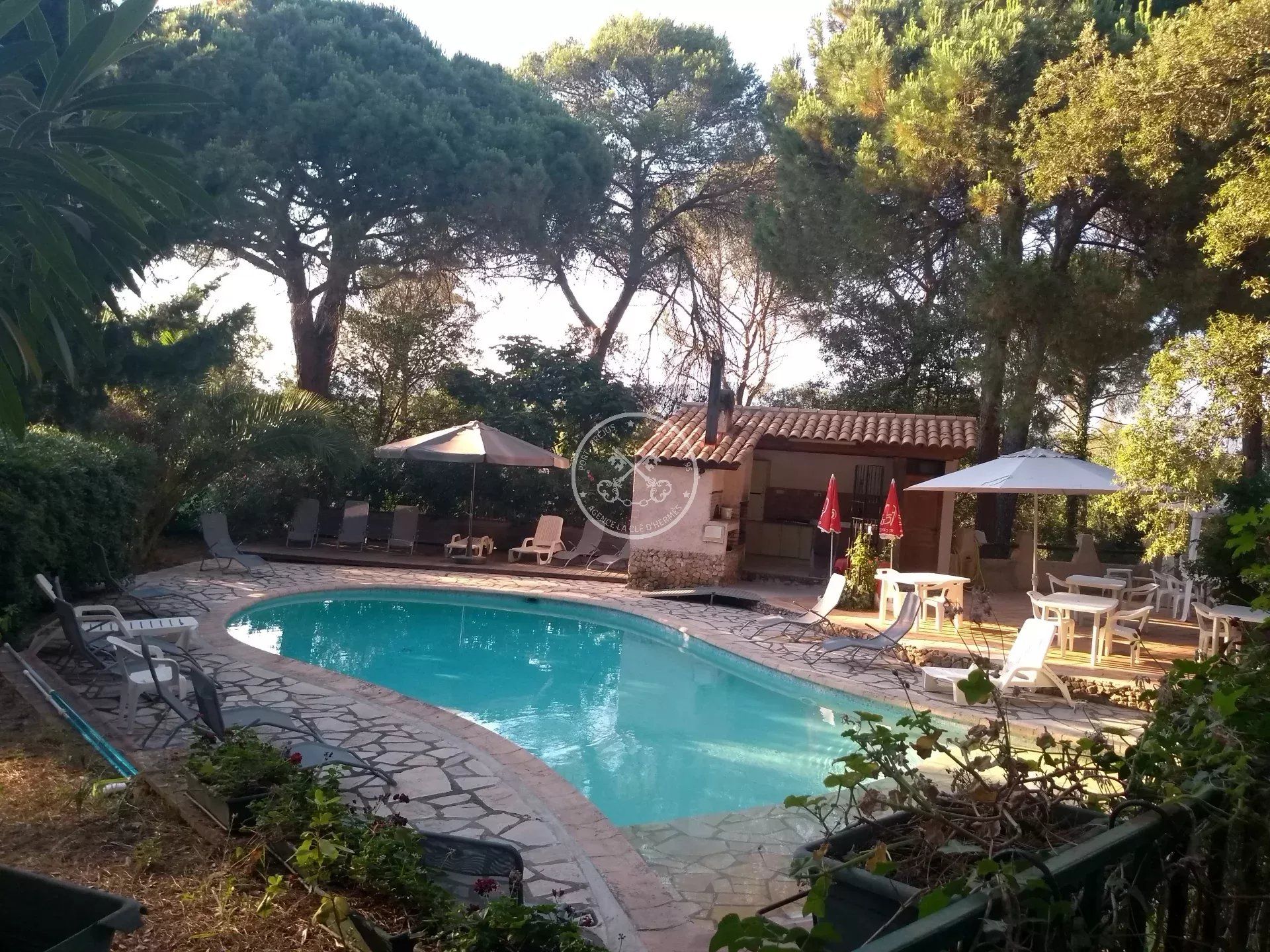 loger dans Roquebrune-sur-Argens, Provence-Alpes-Cote d'Azur 11964579