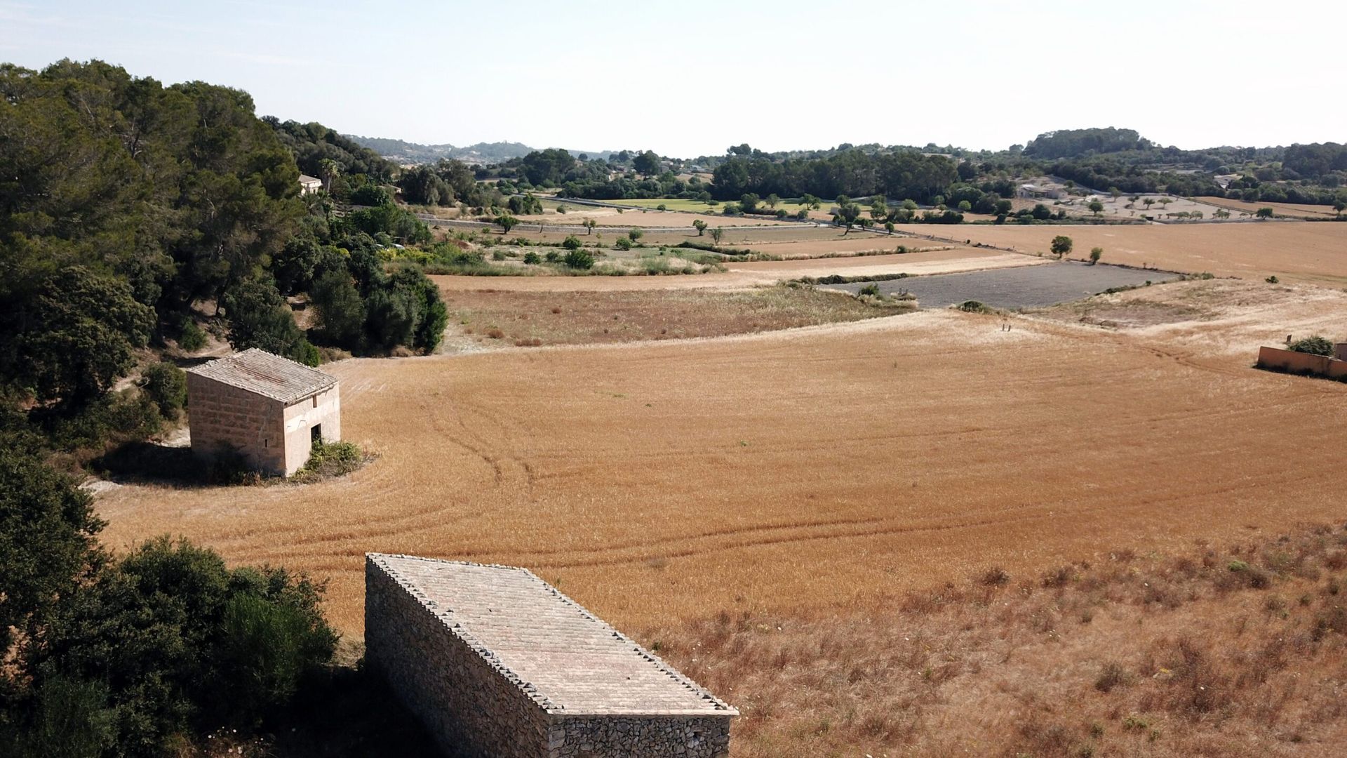 Terre dans Montuïri, Balearic Islands 11964633