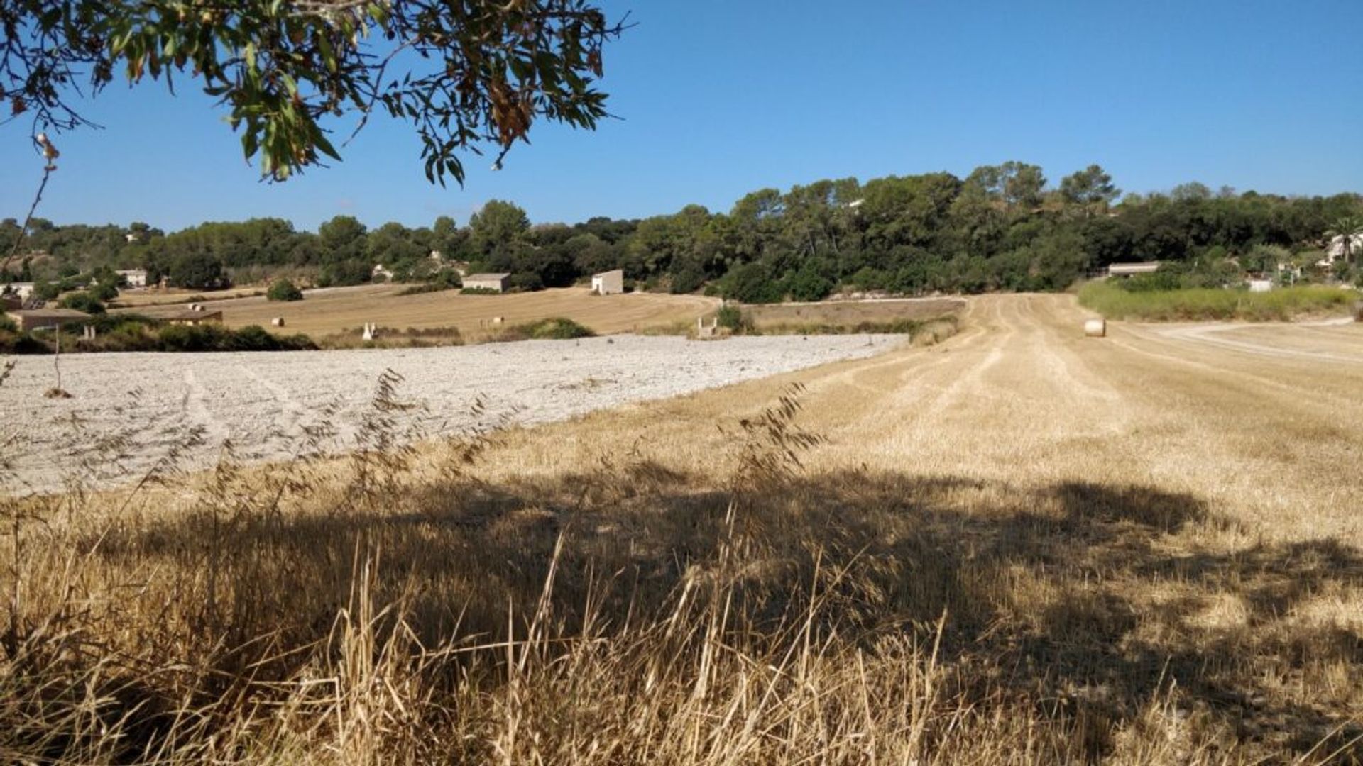 Terre dans Montuïri, Balearic Islands 11964633