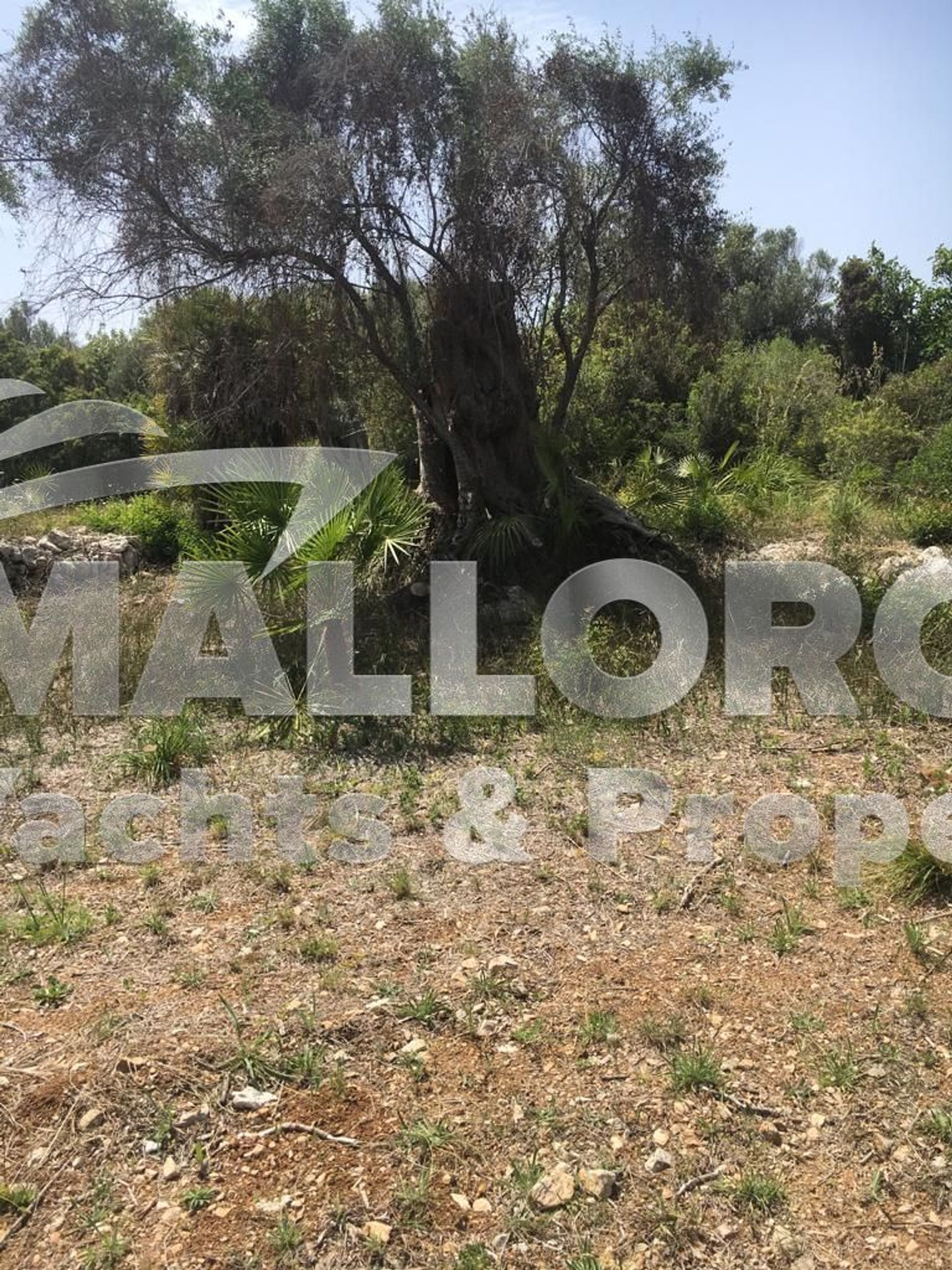 House in Capdepera, Balearic Islands 11964639