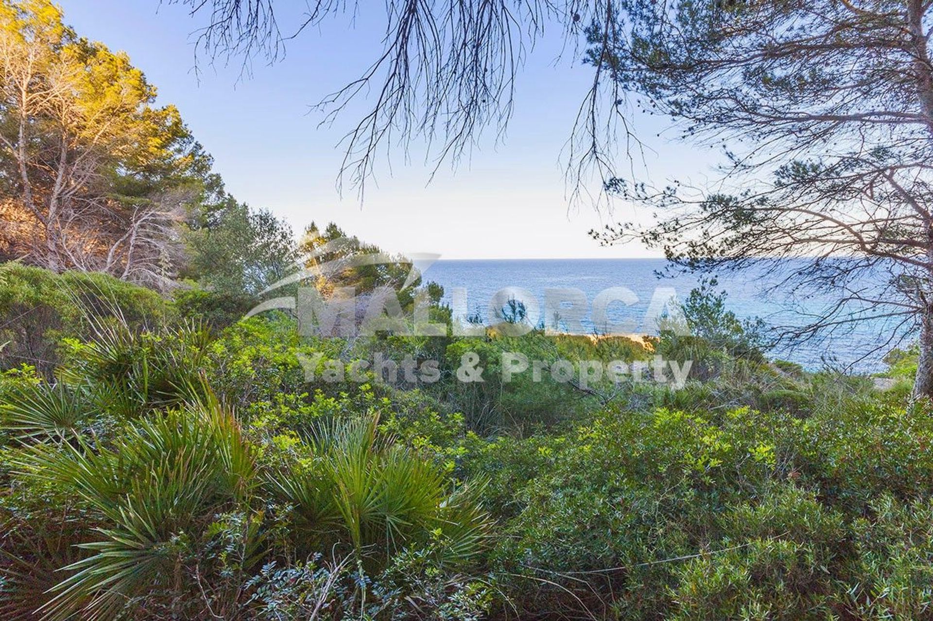 Land in Font de Sa Cala, Illes Balears 11964642