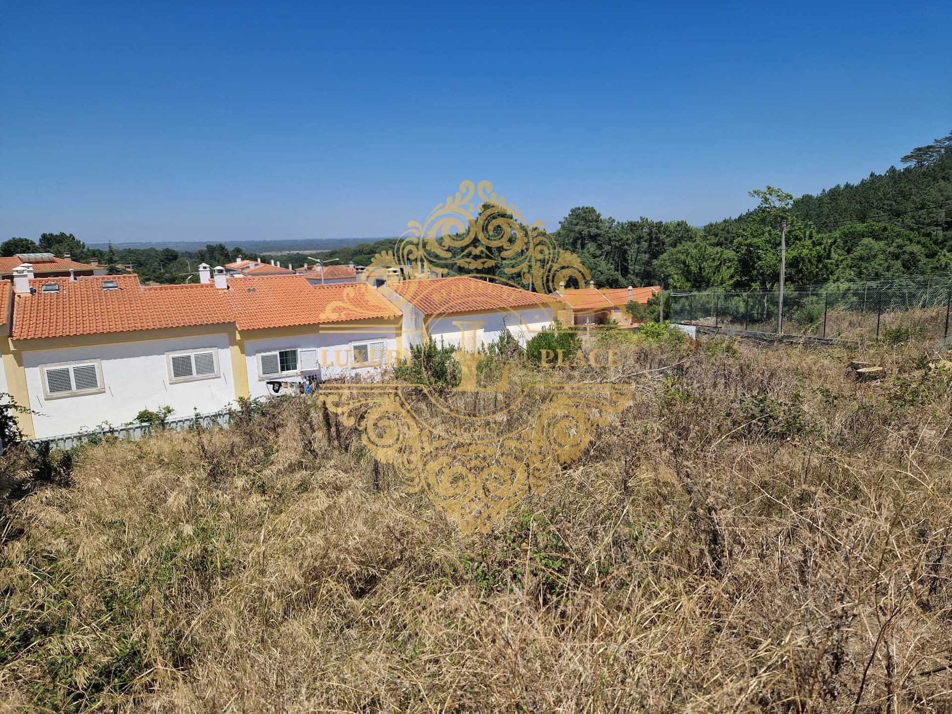 Land im Cotovia, Setubal 11964710