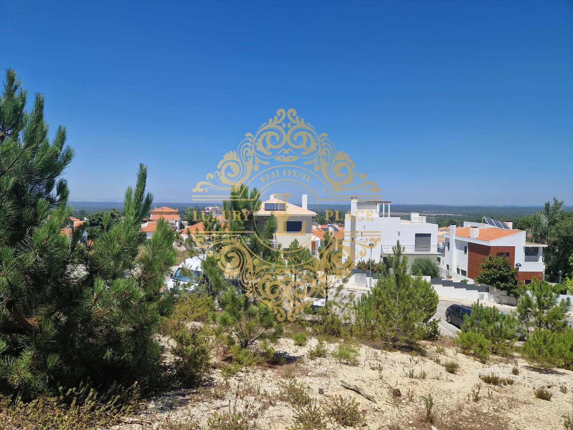 Terre dans Cotovia, Setúbal 11964711