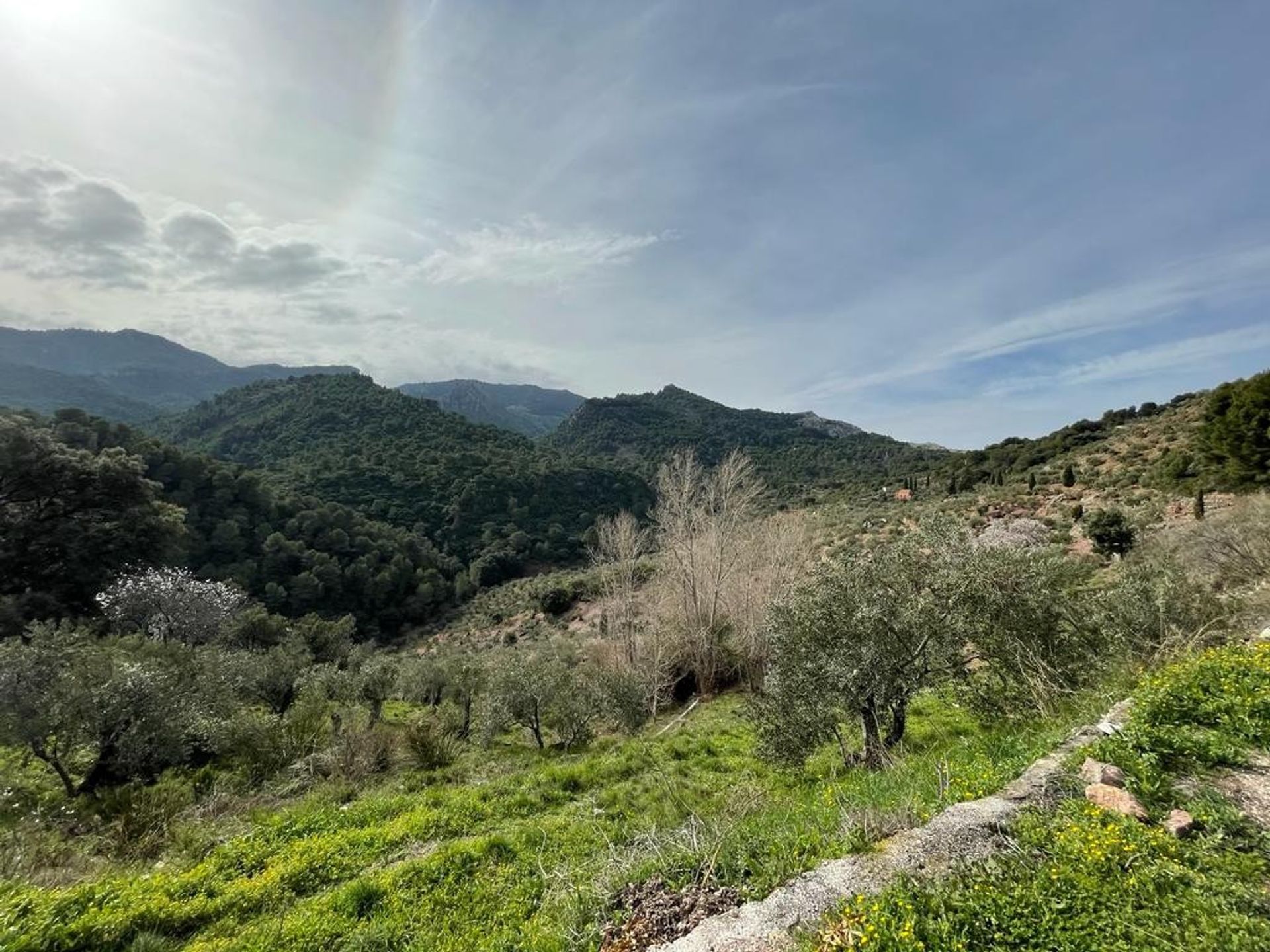 rumah dalam El Burgo, Andalusia 11964805