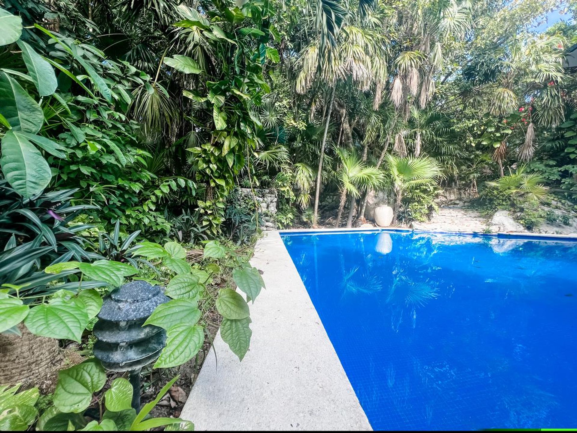 House in Playa del Carmen, Quintana Roo 11965568