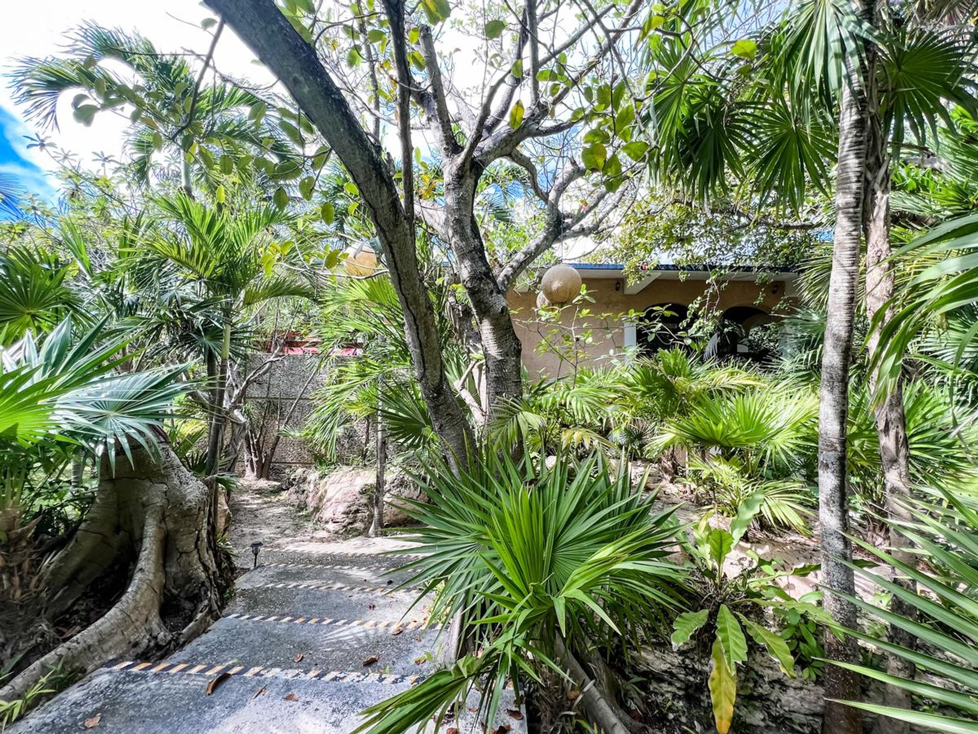 House in Playa del Carmen, Quintana Roo 11965568