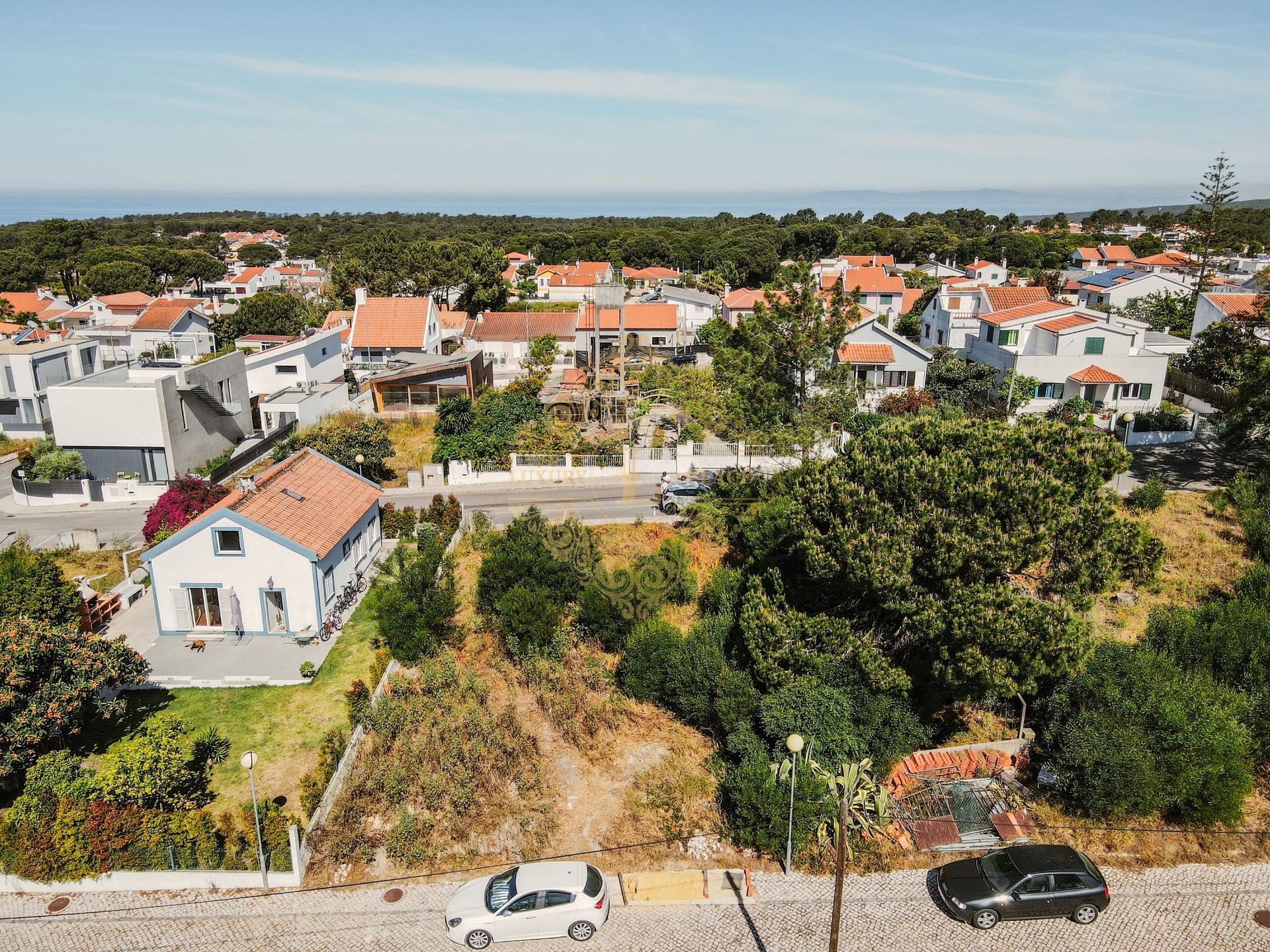 Sbarcare nel Cotovia, Setúbal 11967209