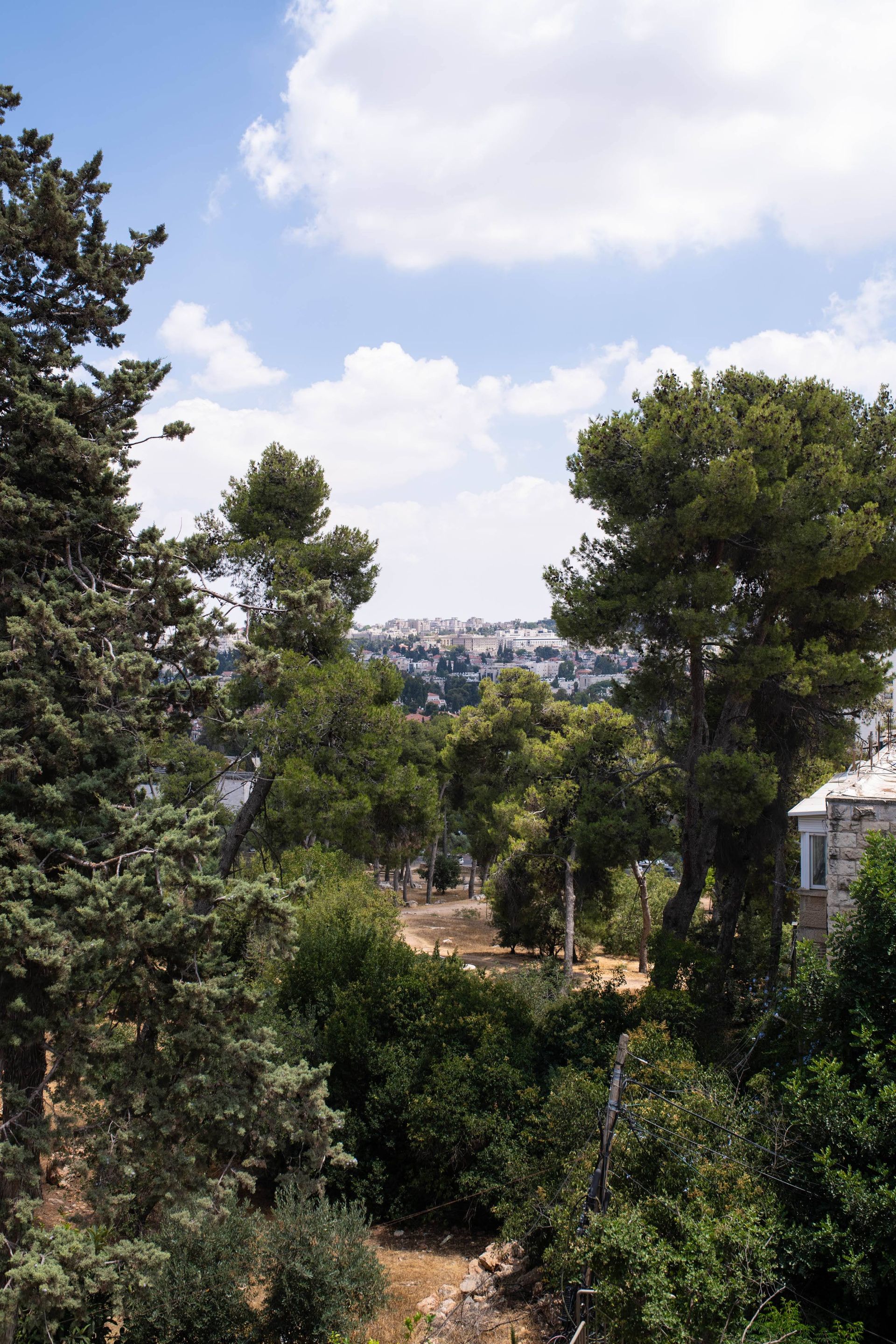 קוֹנדוֹמִינִיוֹן ב ירושלים, HaPalmach Street 11967214