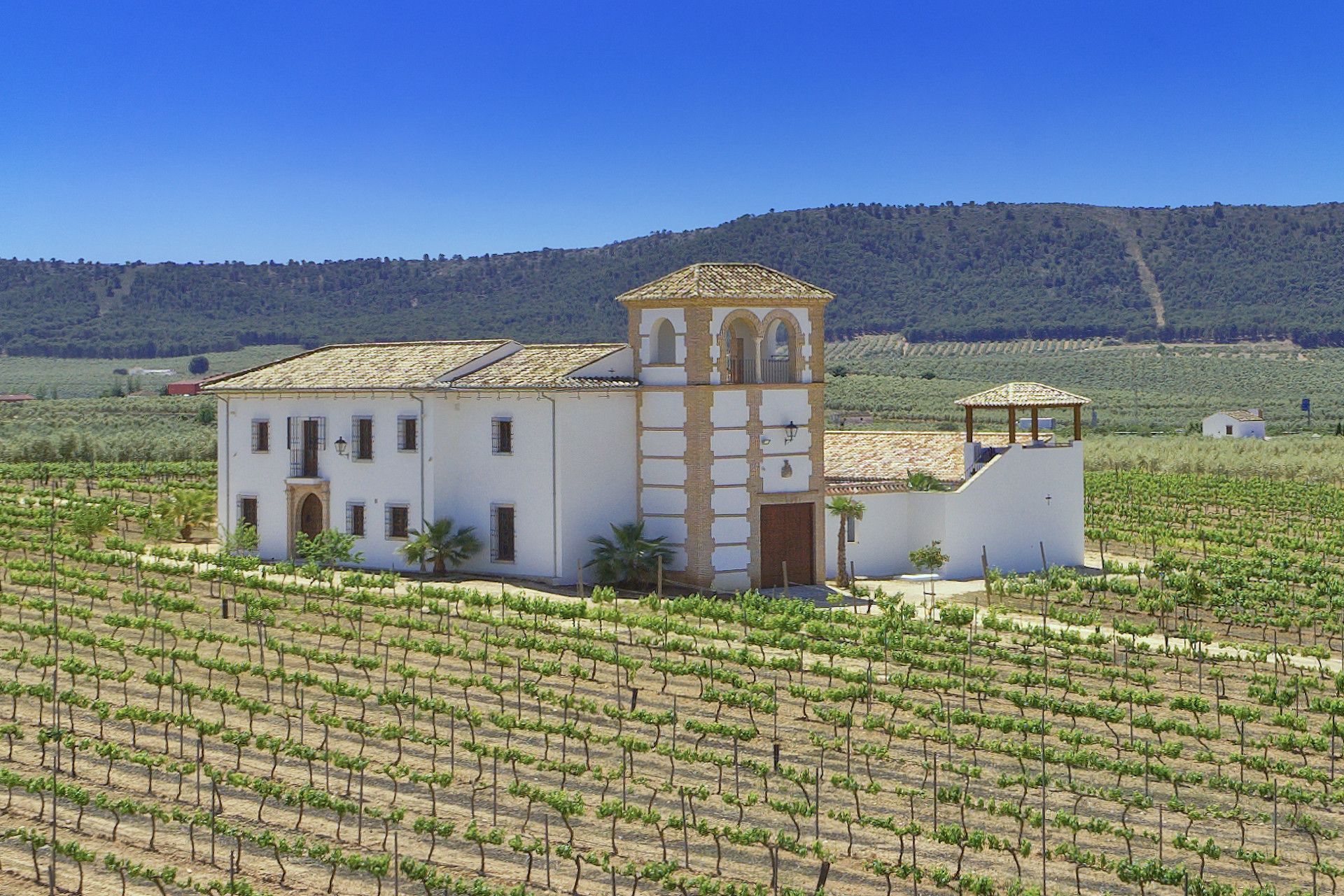 casa en Mollina, Andalusia 11967344