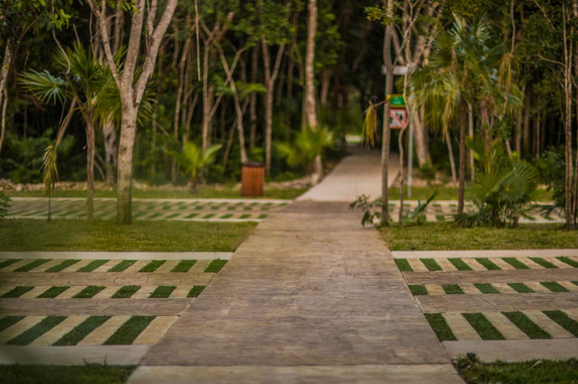 Земельные участки в , Quintana Roo 11968241