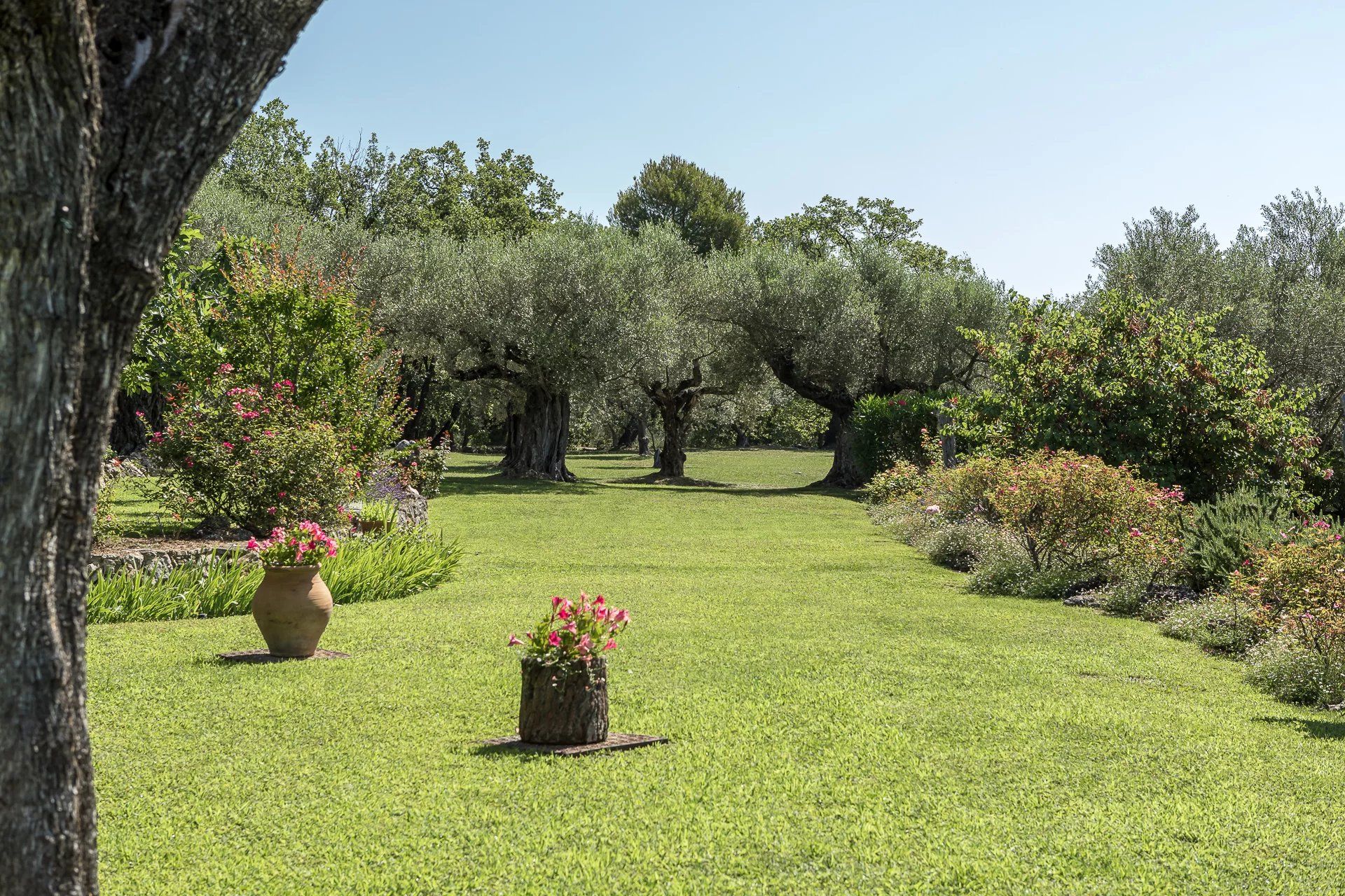 Hus i Fayence, Provence-Alpes-Côte d'Azur 11968791