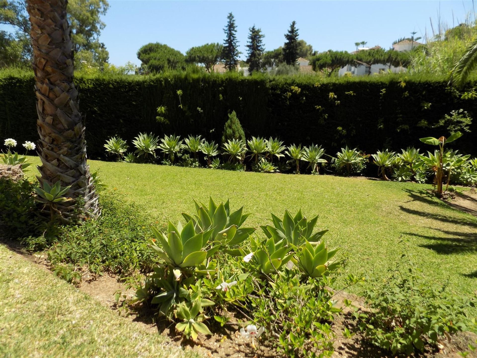 casa en Calahonda, Andalucía 11969115