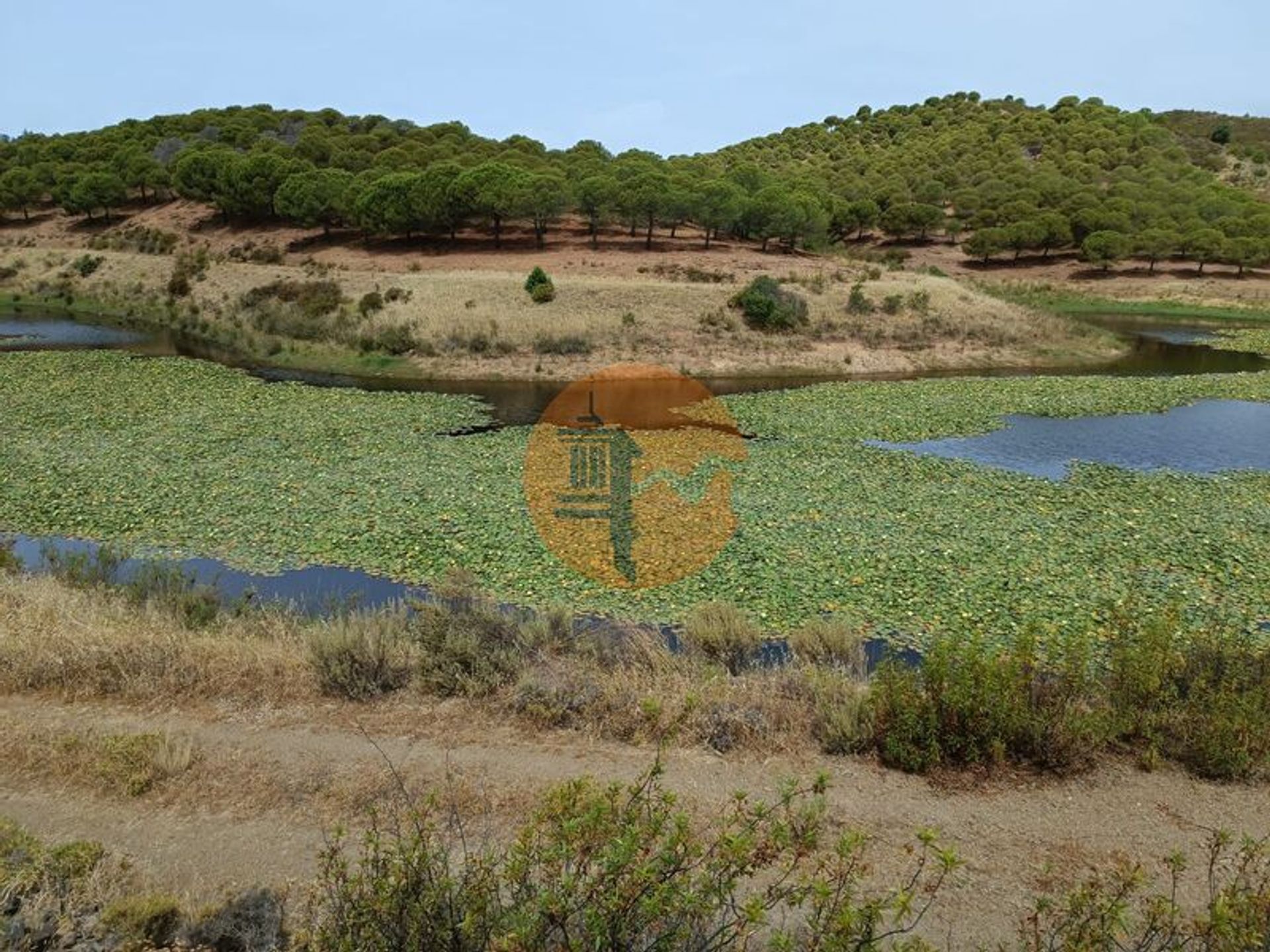 Einzelhandel im Castro Marim, Faro District 11970443