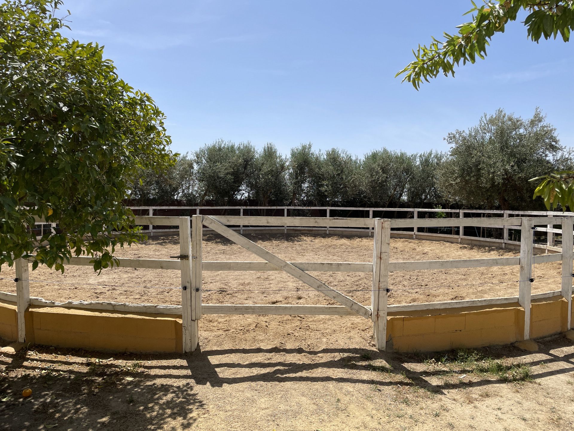 жилой дом в Carmona, Andalusia 11970508