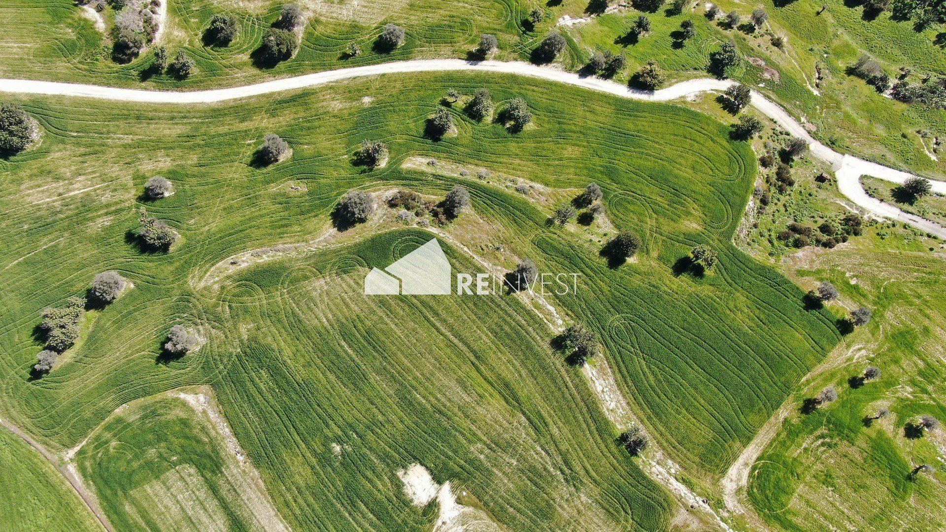 Land im Zygi, Larnaka 11970568